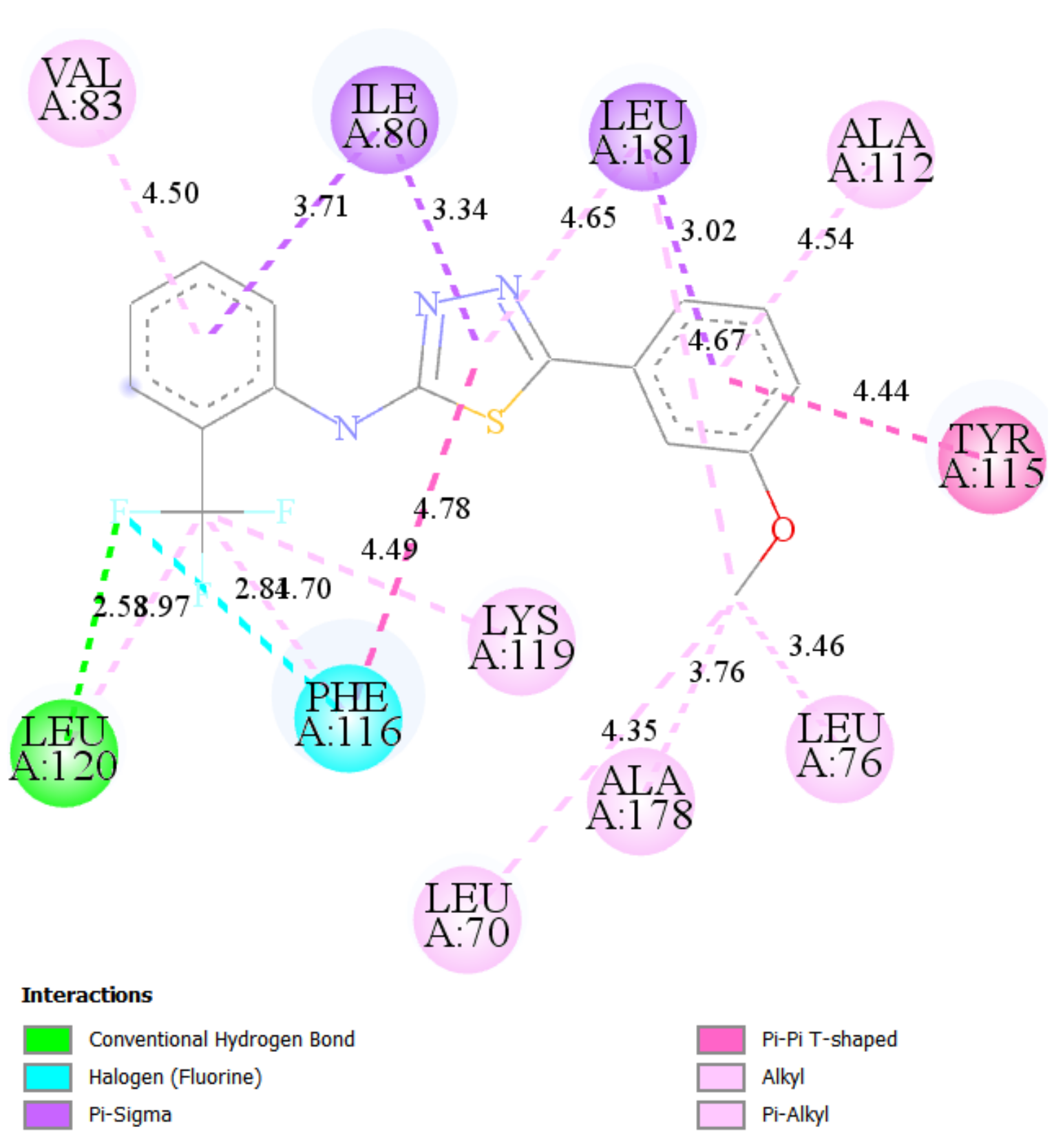 Molecules 27 01814 g007b