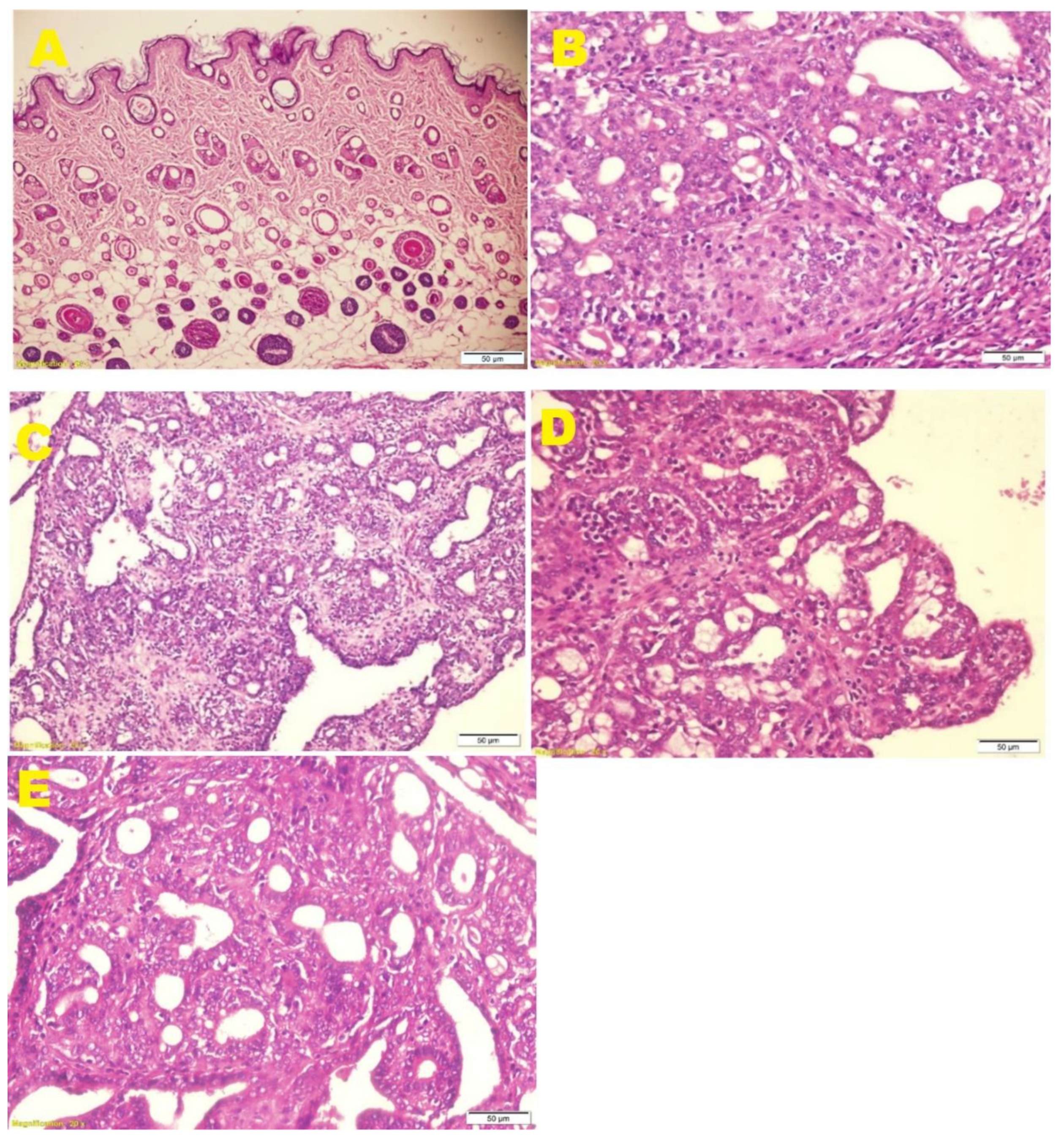 Molecules 27 01818 g002