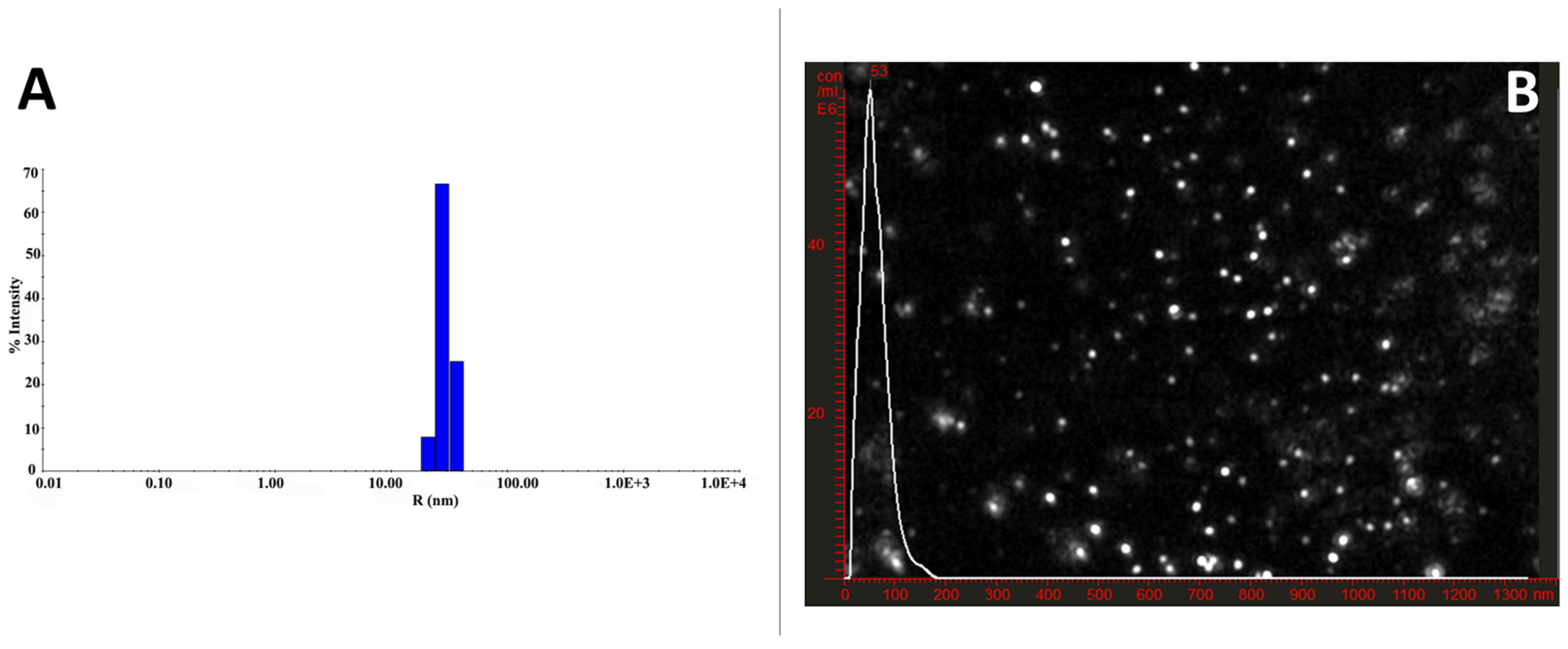Molecules 27 01827 g002