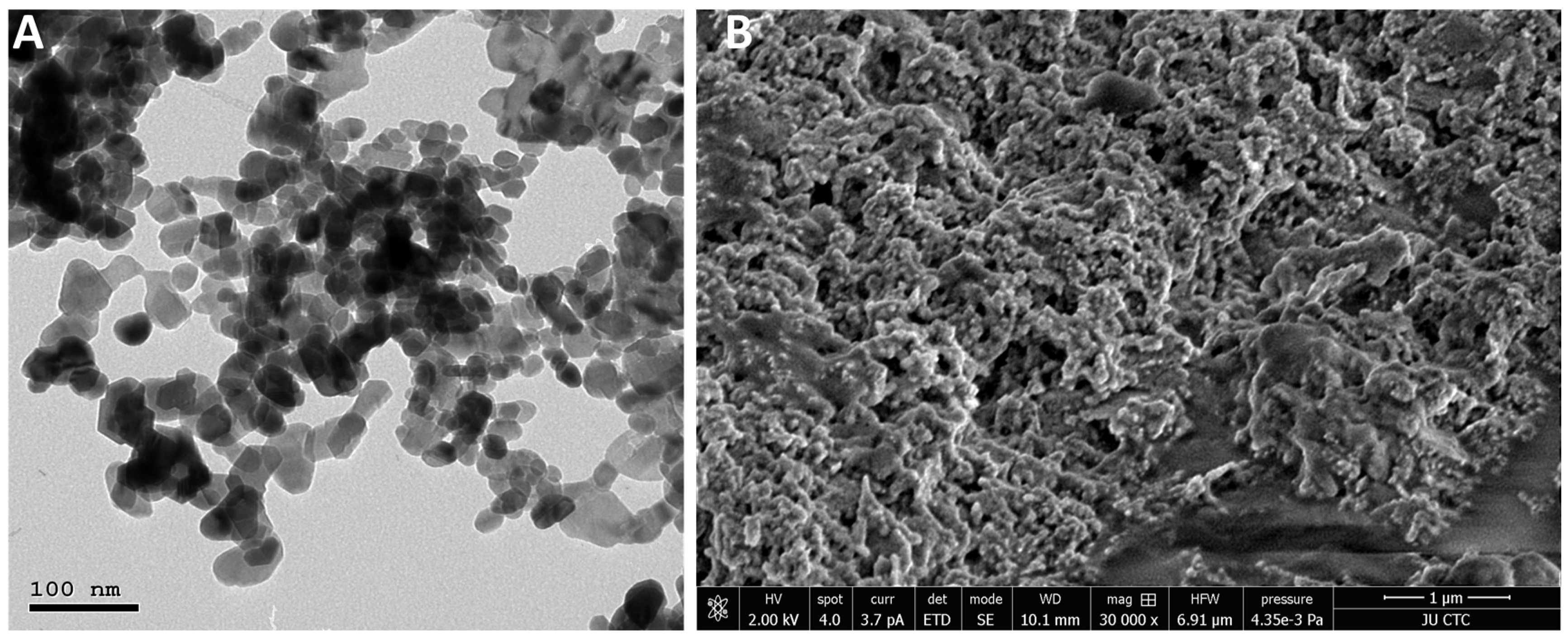 Molecules 27 01827 g003