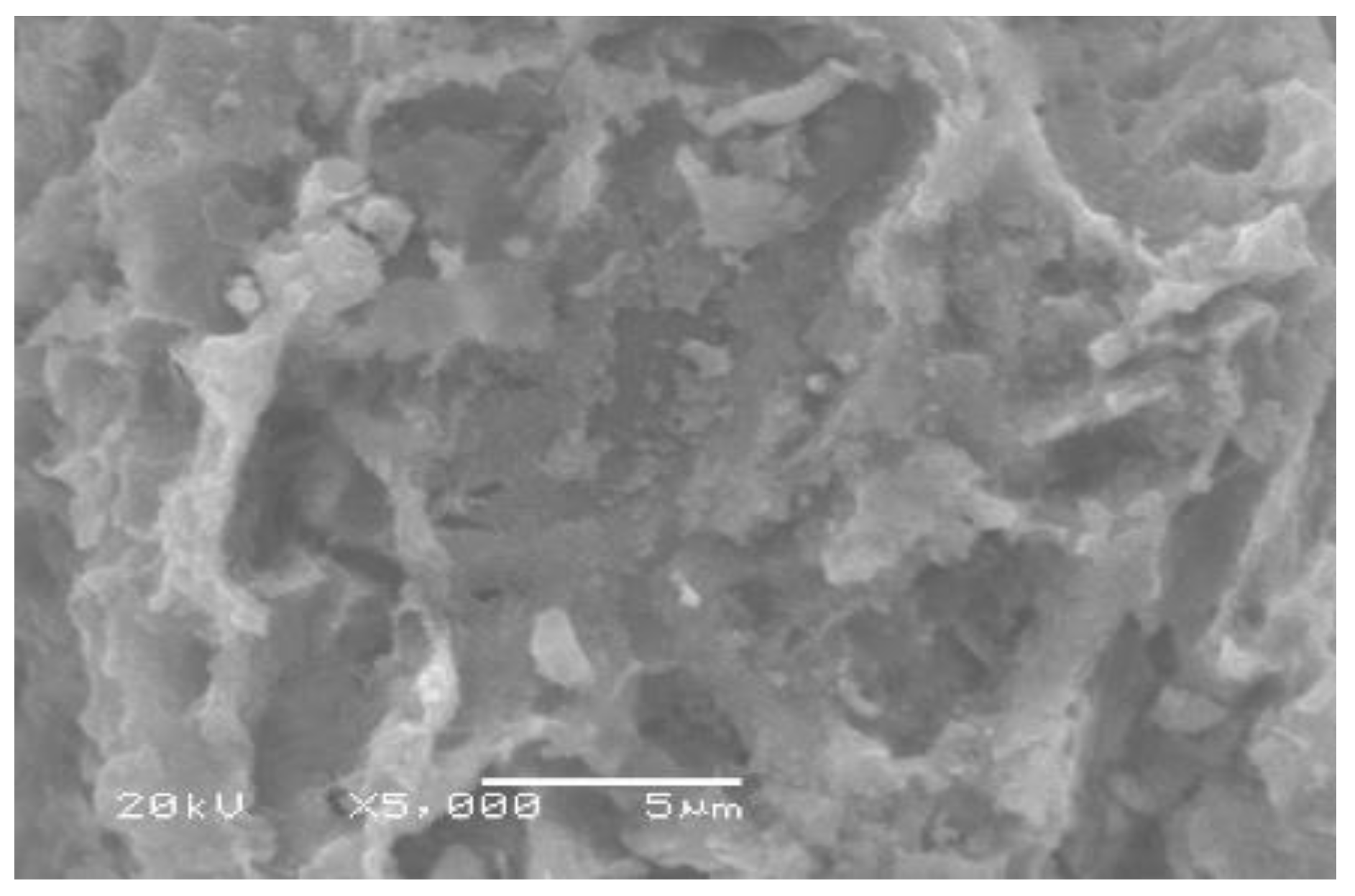 Molecules 27 01831 g003