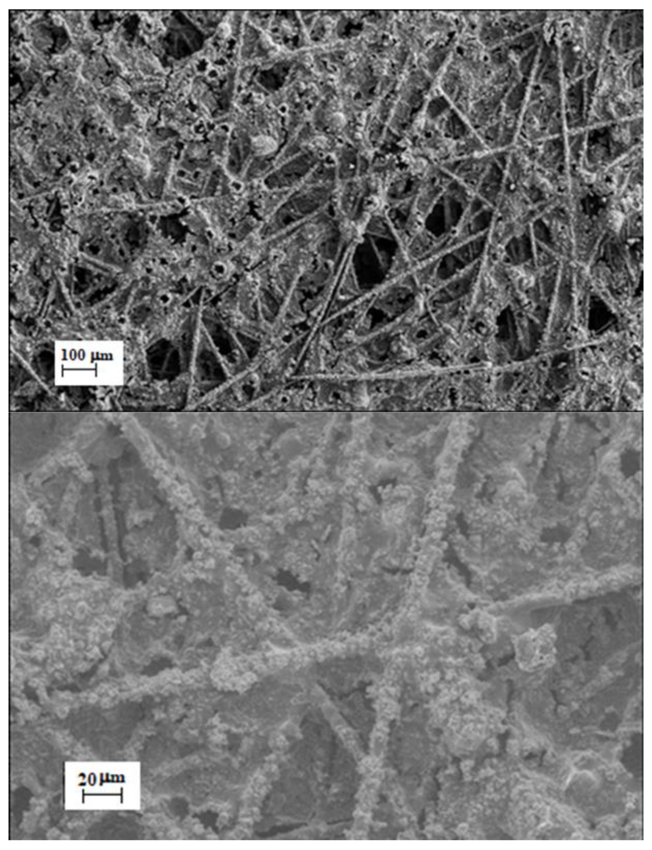 Molecules 27 01832 g014