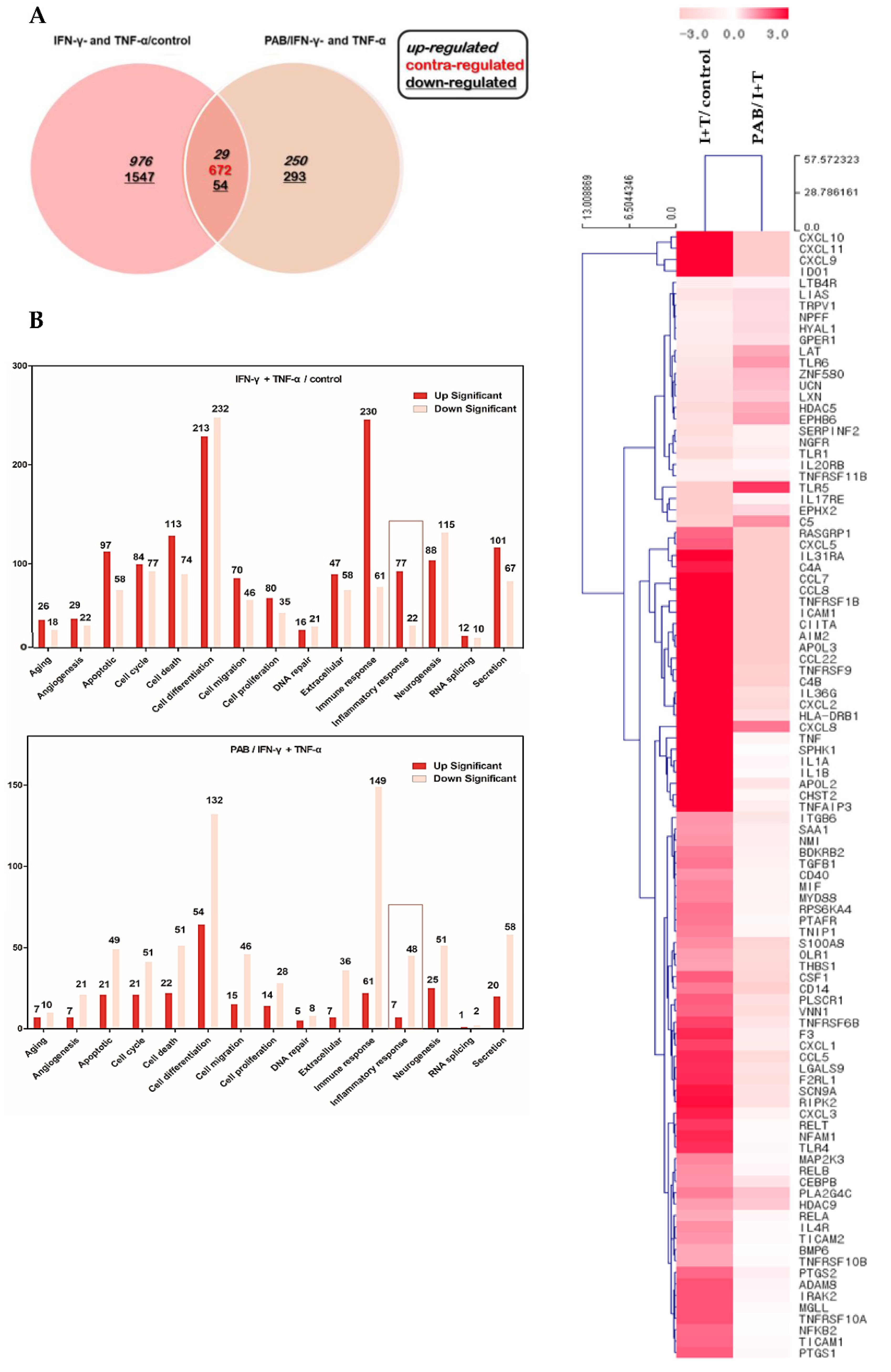 Molecules 27 01836 g004