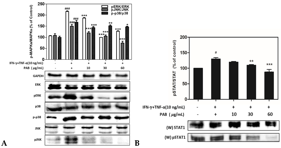Molecules 27 01836 g006