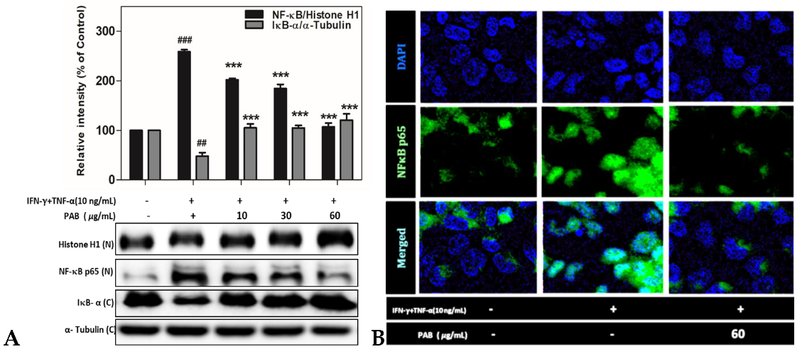 Molecules 27 01836 g007