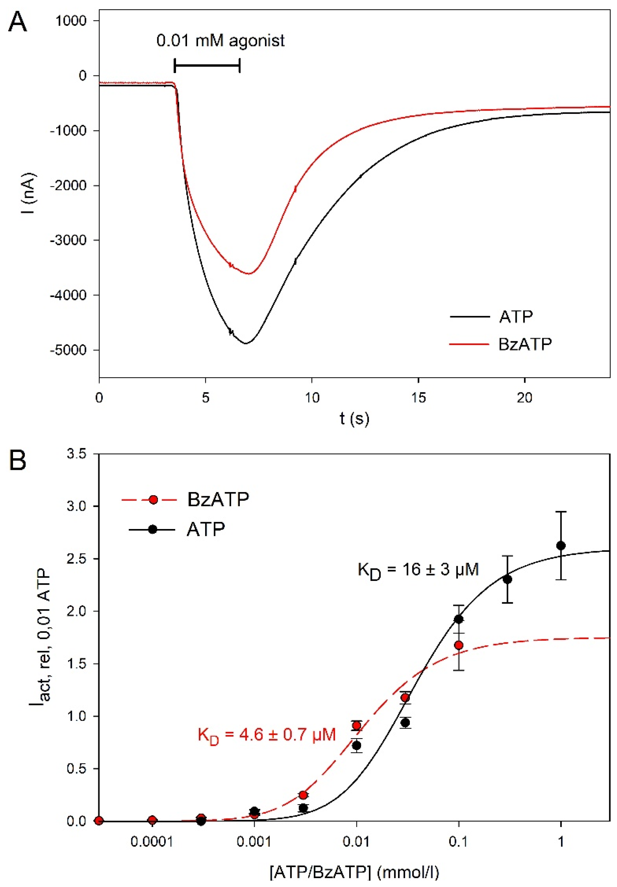 Molecules 27 01846 g002