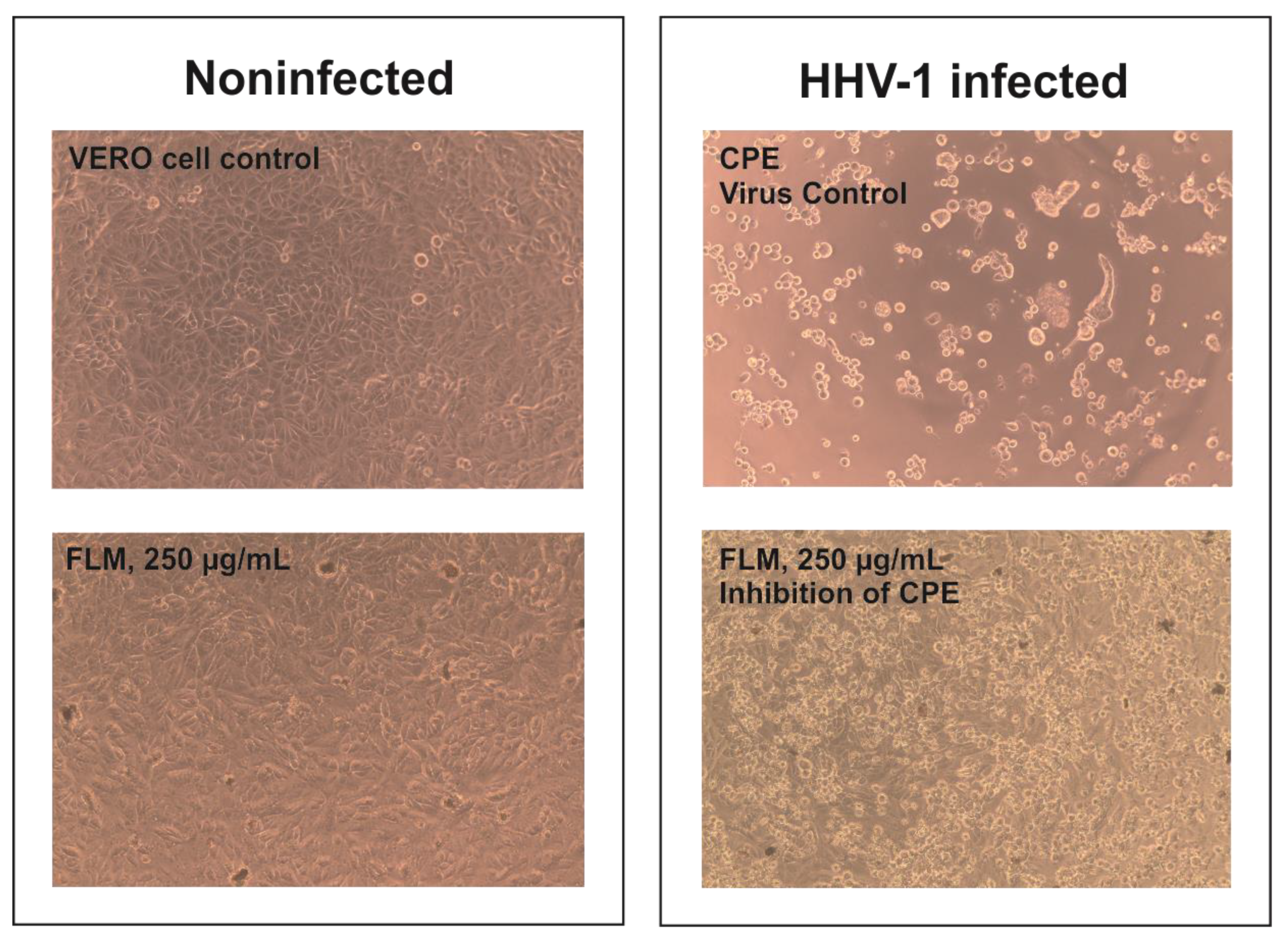 Molecules 27 01863 g003
