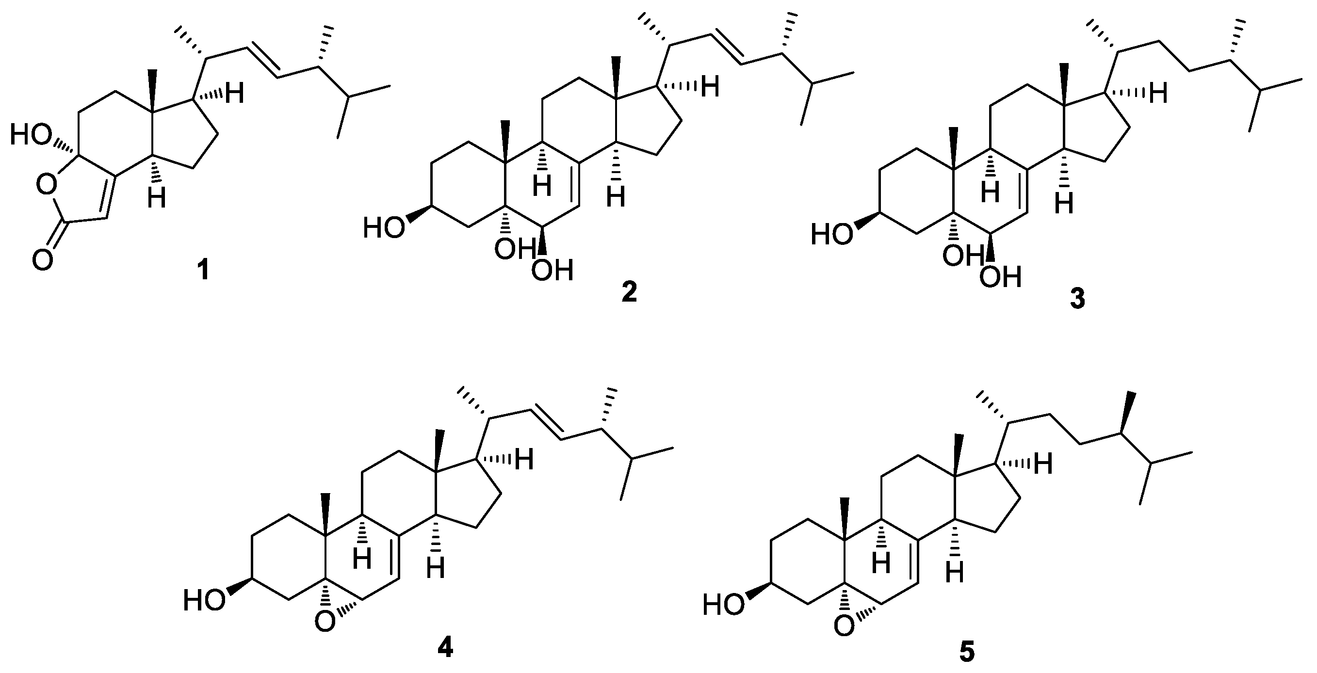 Molecules 27 01865 g003