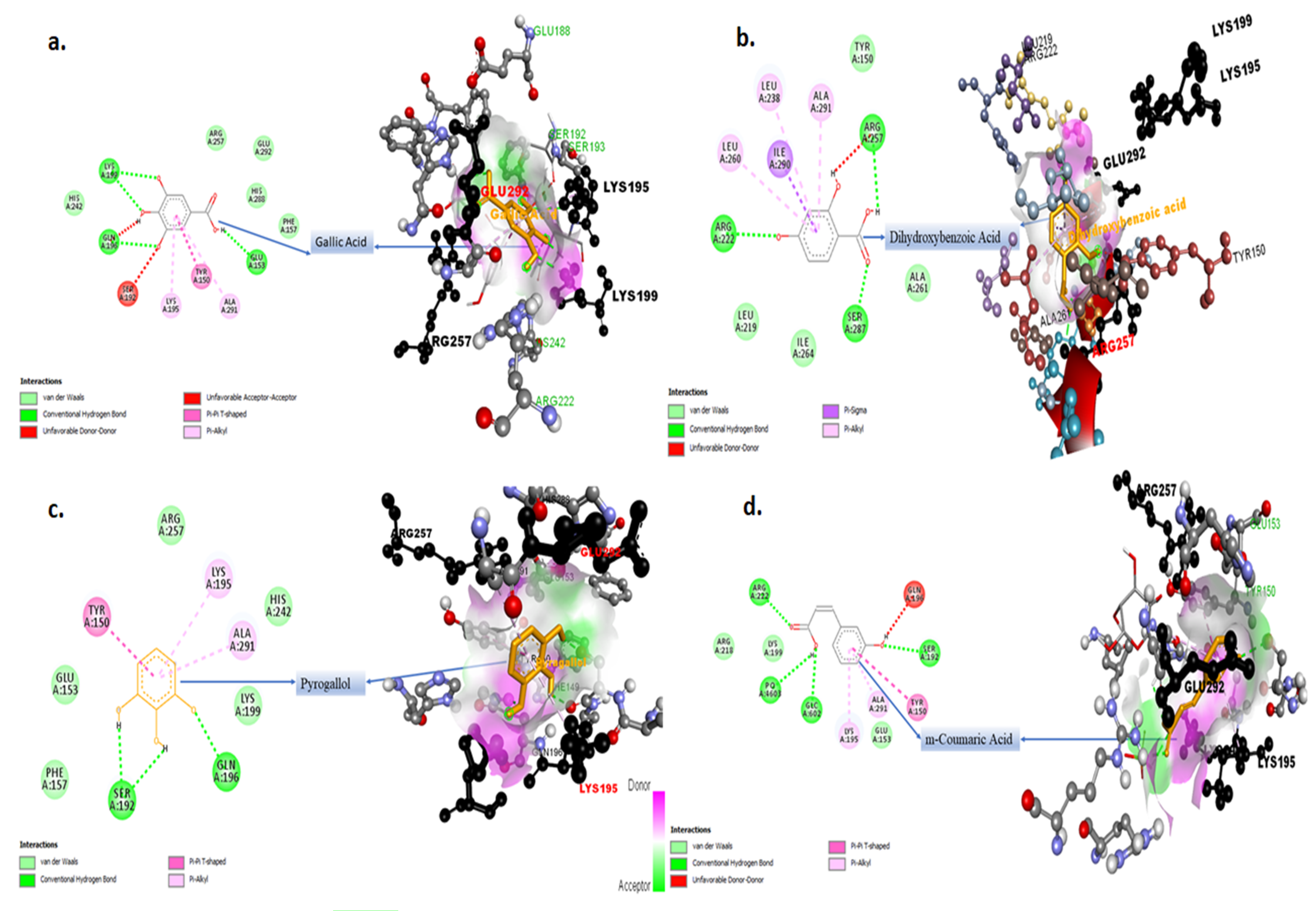 Molecules 27 01868 g010