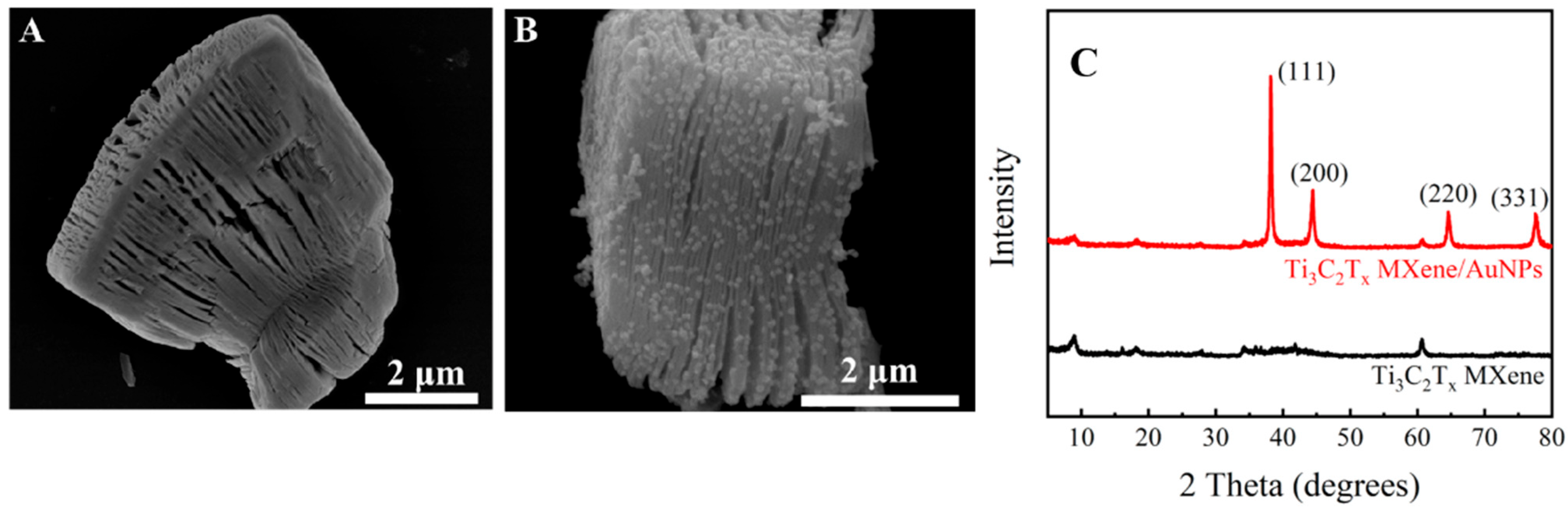 Molecules 27 01871 g001