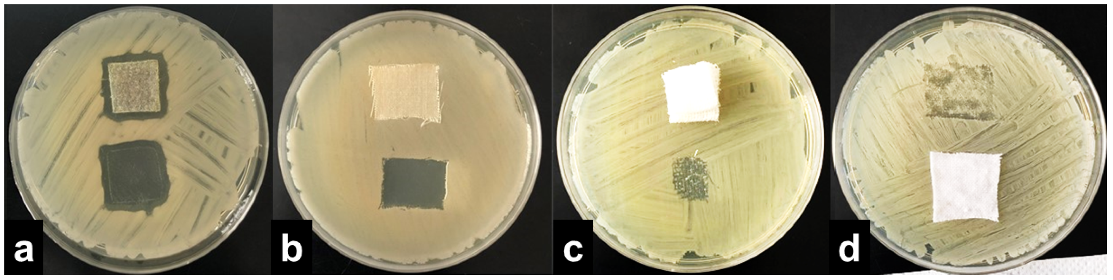 Molecules 27 01876 g002