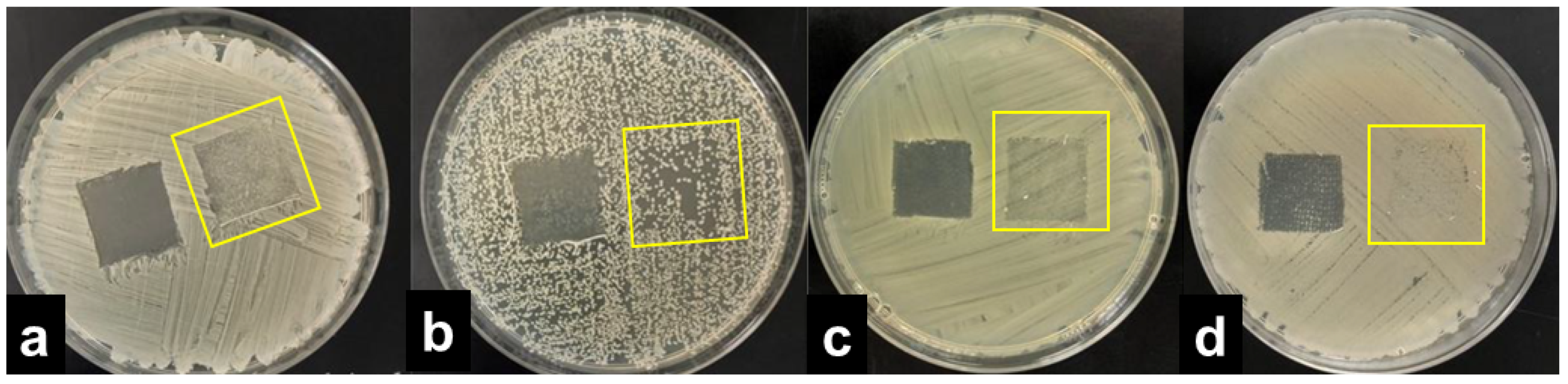 Molecules 27 01876 g006