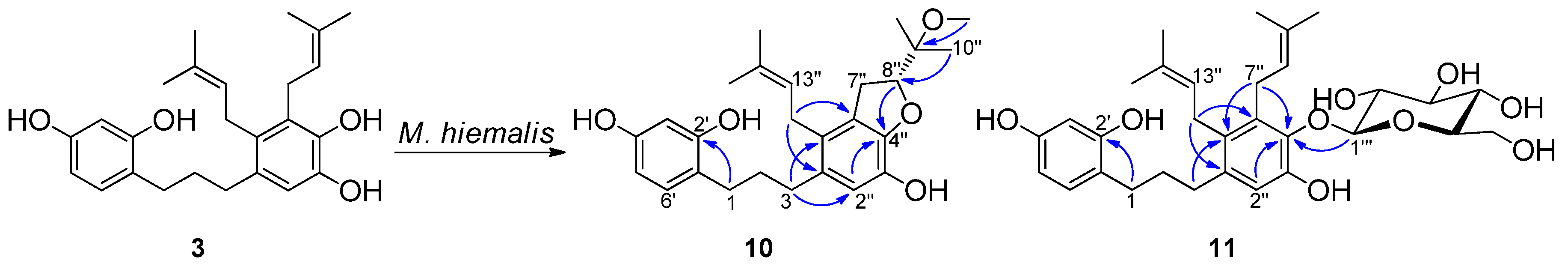 Molecules 27 01879 g004 Molecules 27 01879 g004