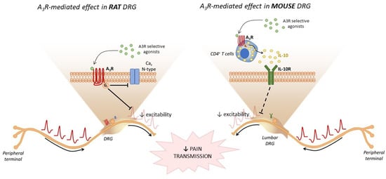 Molecules 27 01890 g003
