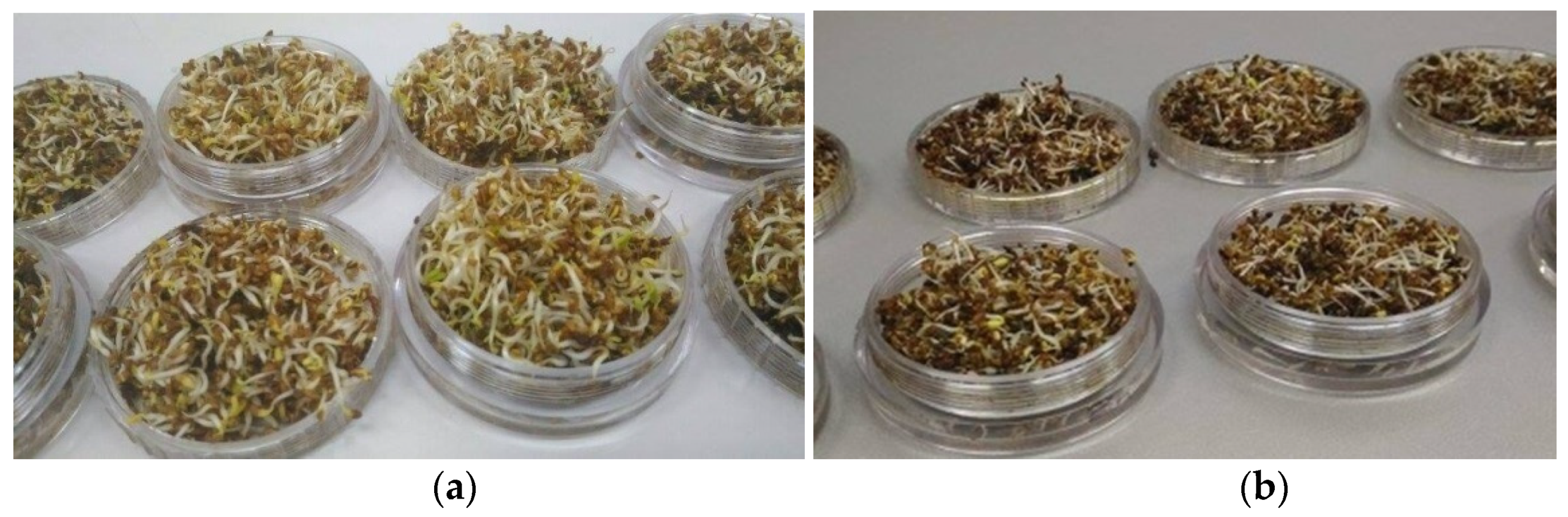 Molecules 27 01891 g004