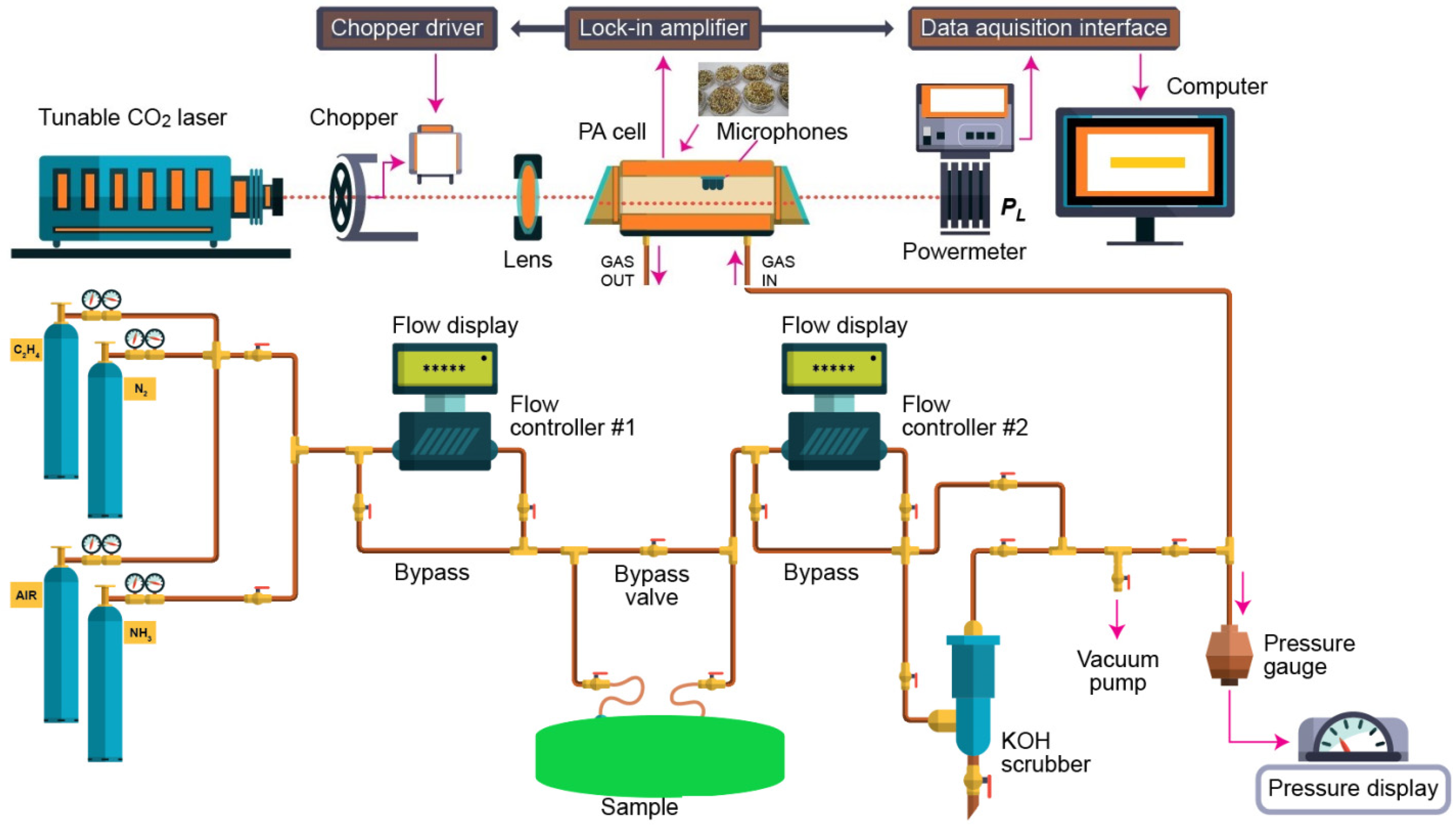 Molecules 27 01891 g005