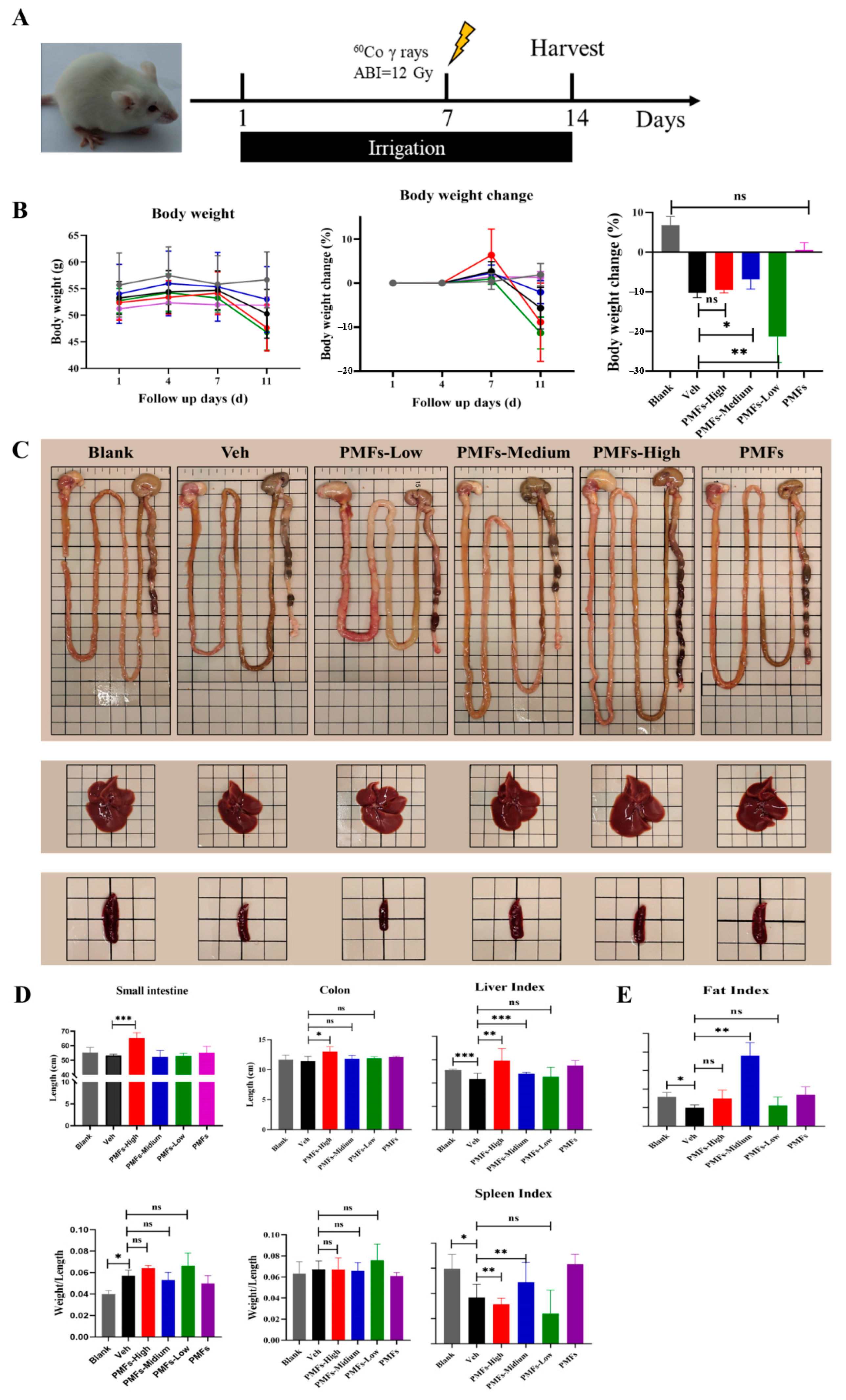Molecules 27 01934 g004