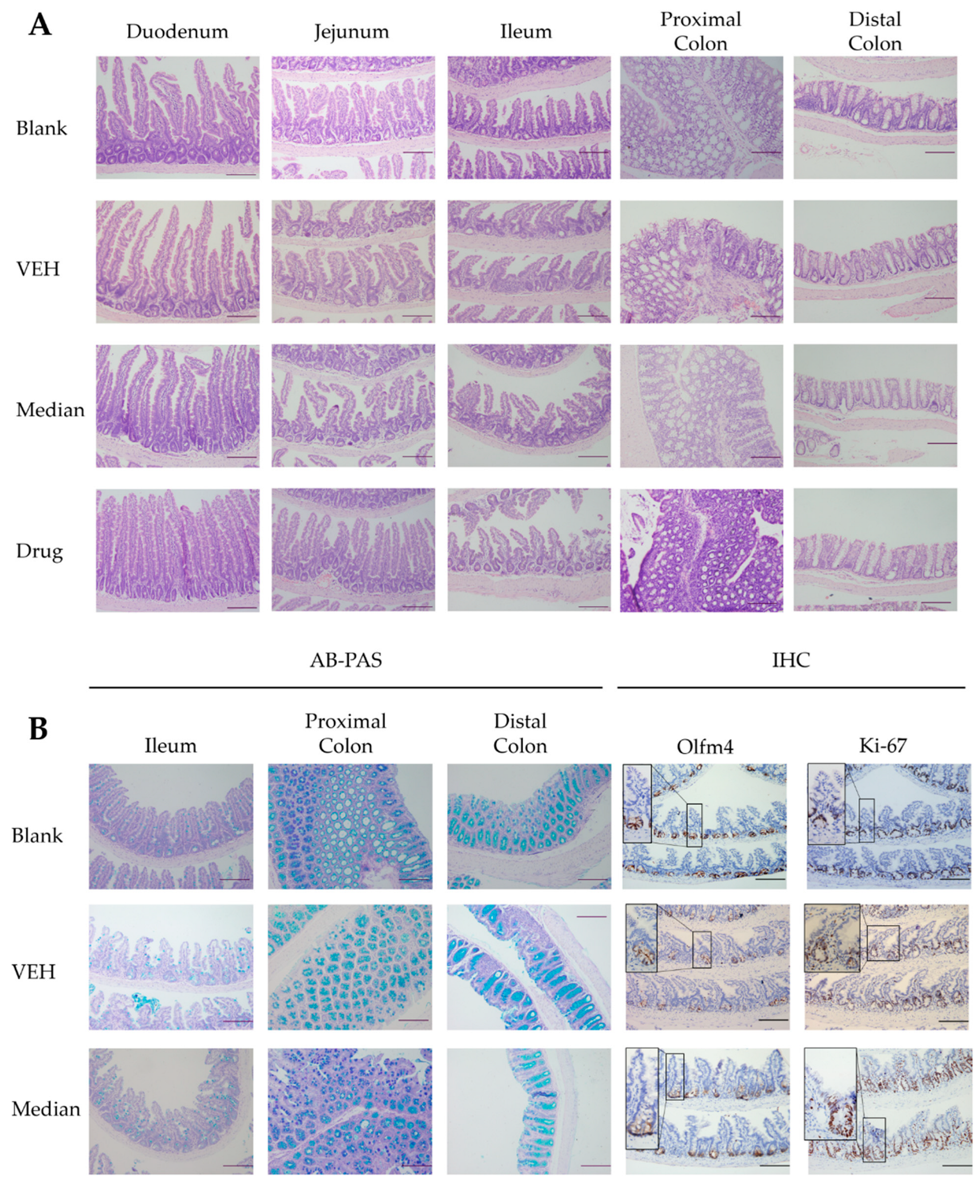 Molecules 27 01934 g005
