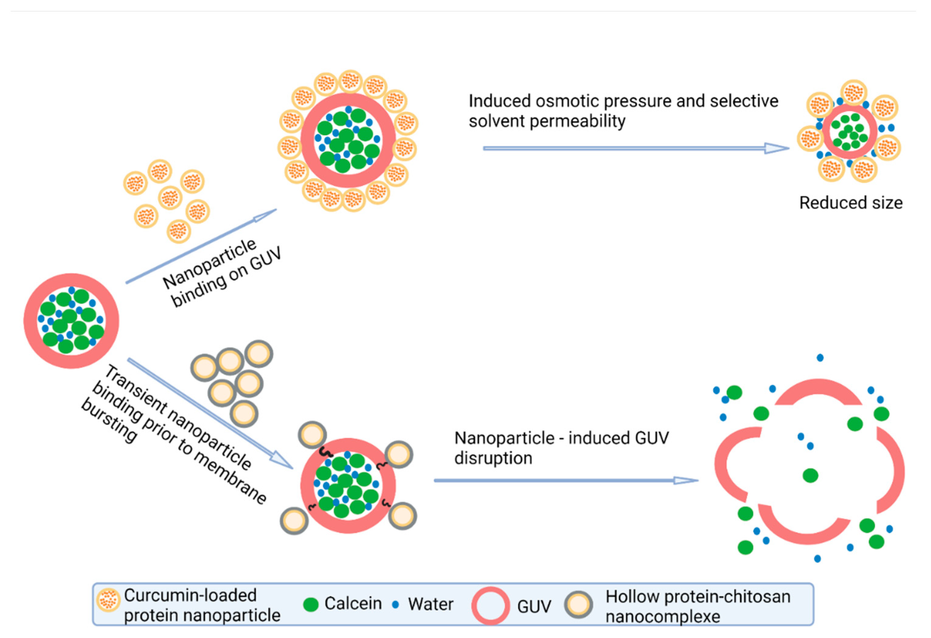 Molecules 27 01941 g005