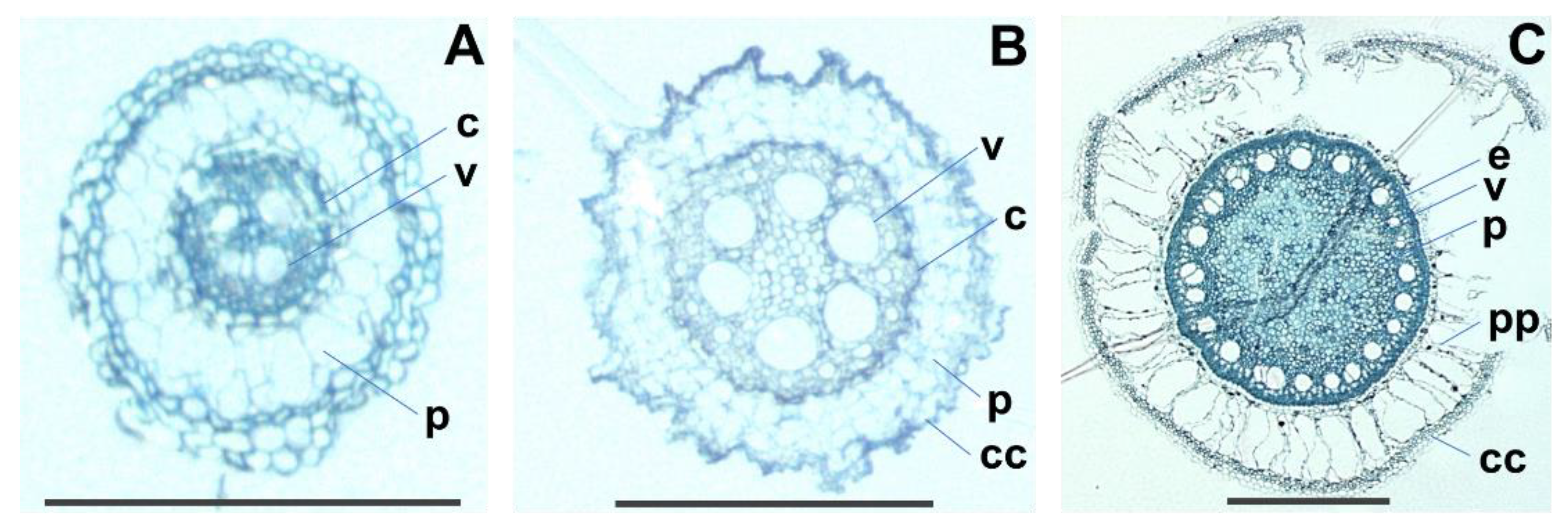 Molecules 27 01942 g003