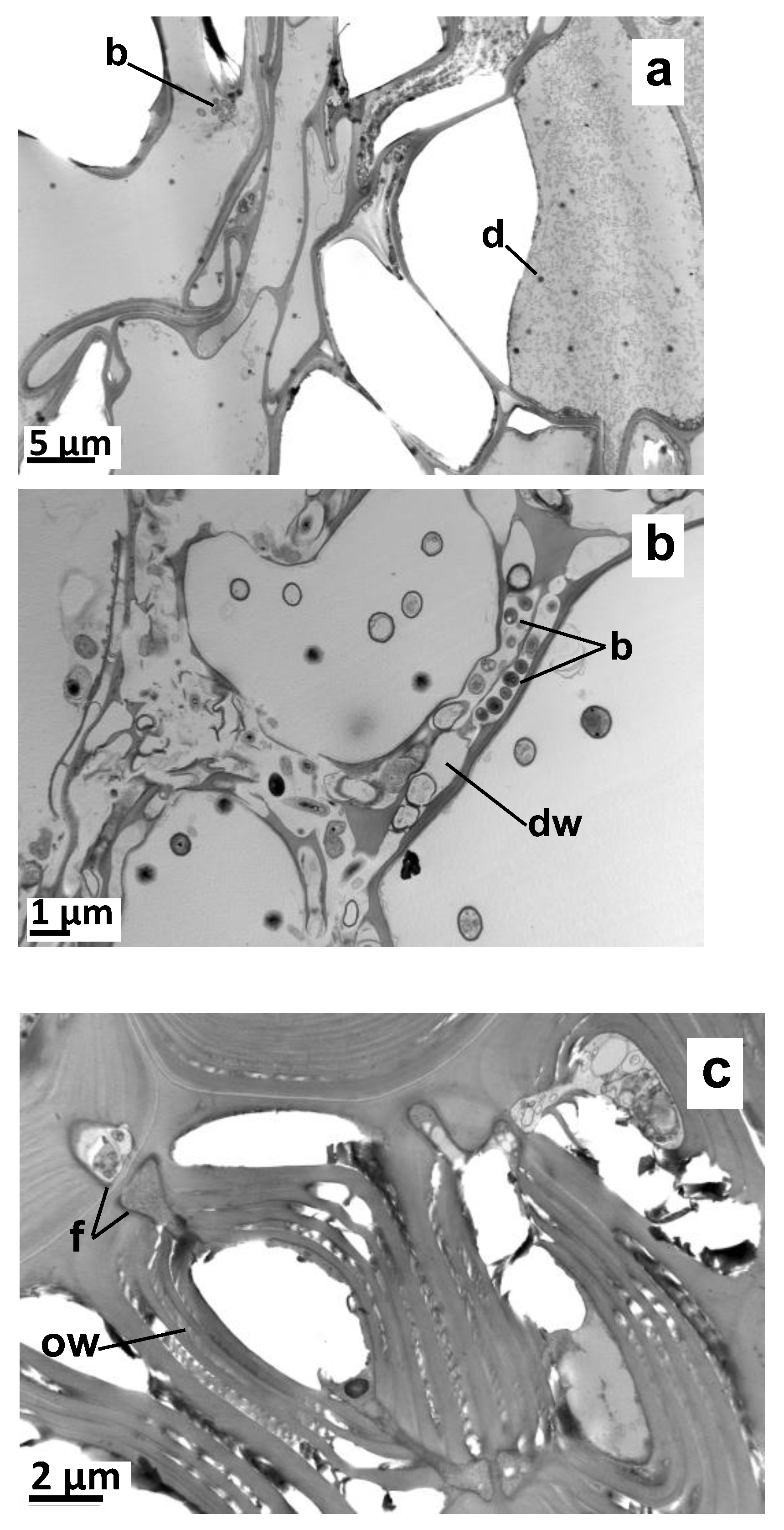 Molecules 27 01942 g0a1