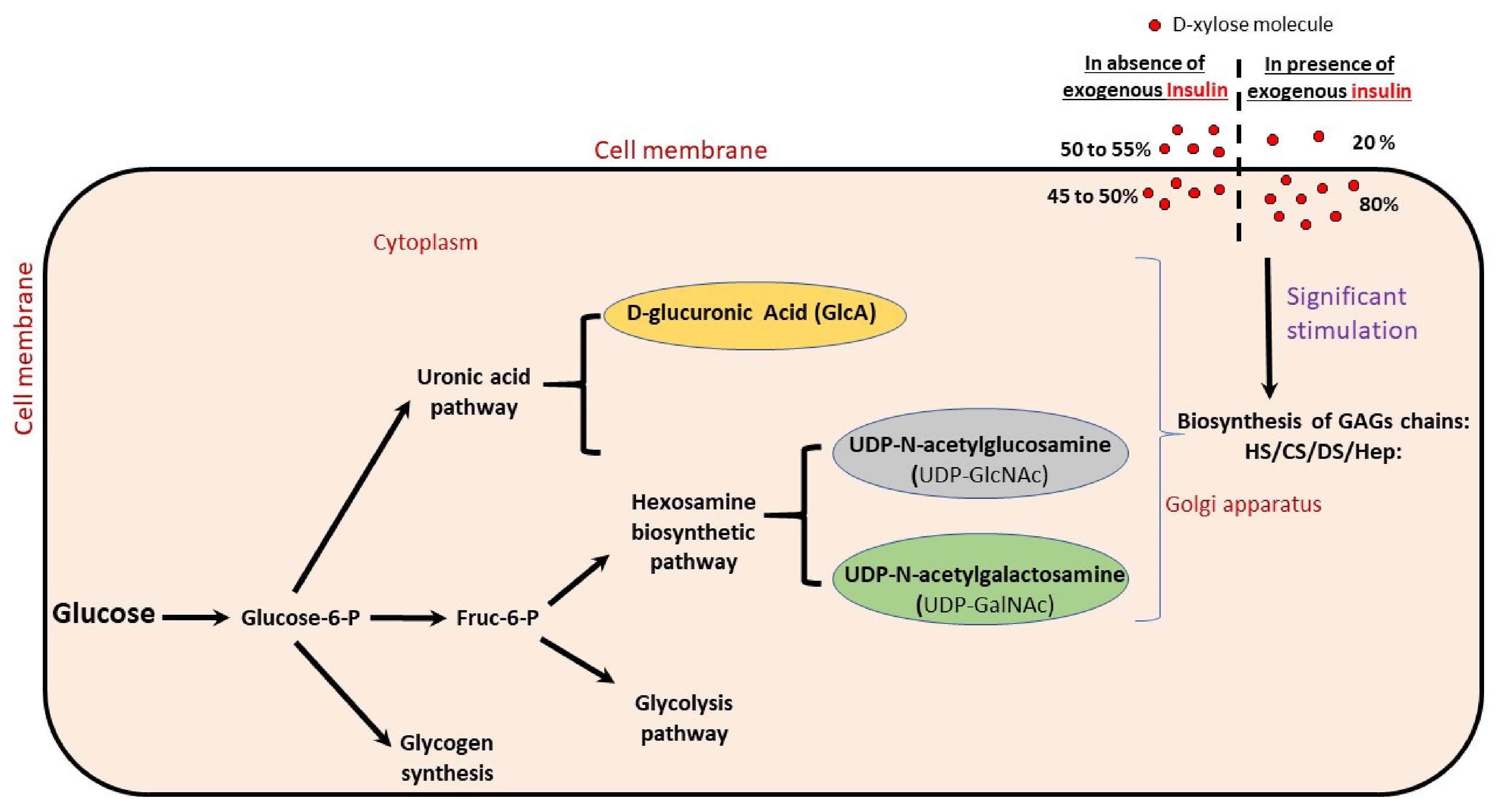 Molecules 27 01947 g001