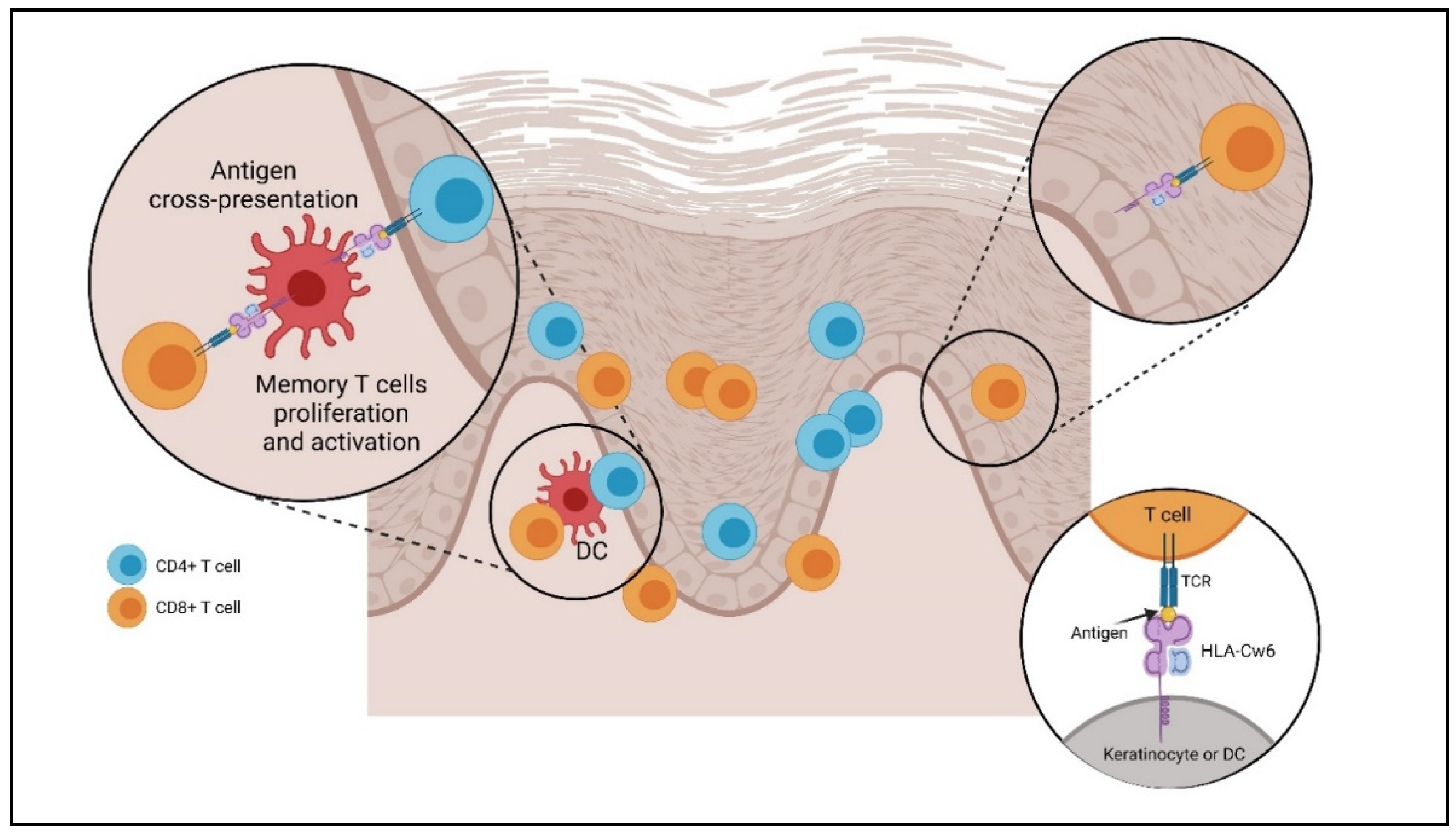 Molecules 27 01953 g002 Molecules 27 01953 g002