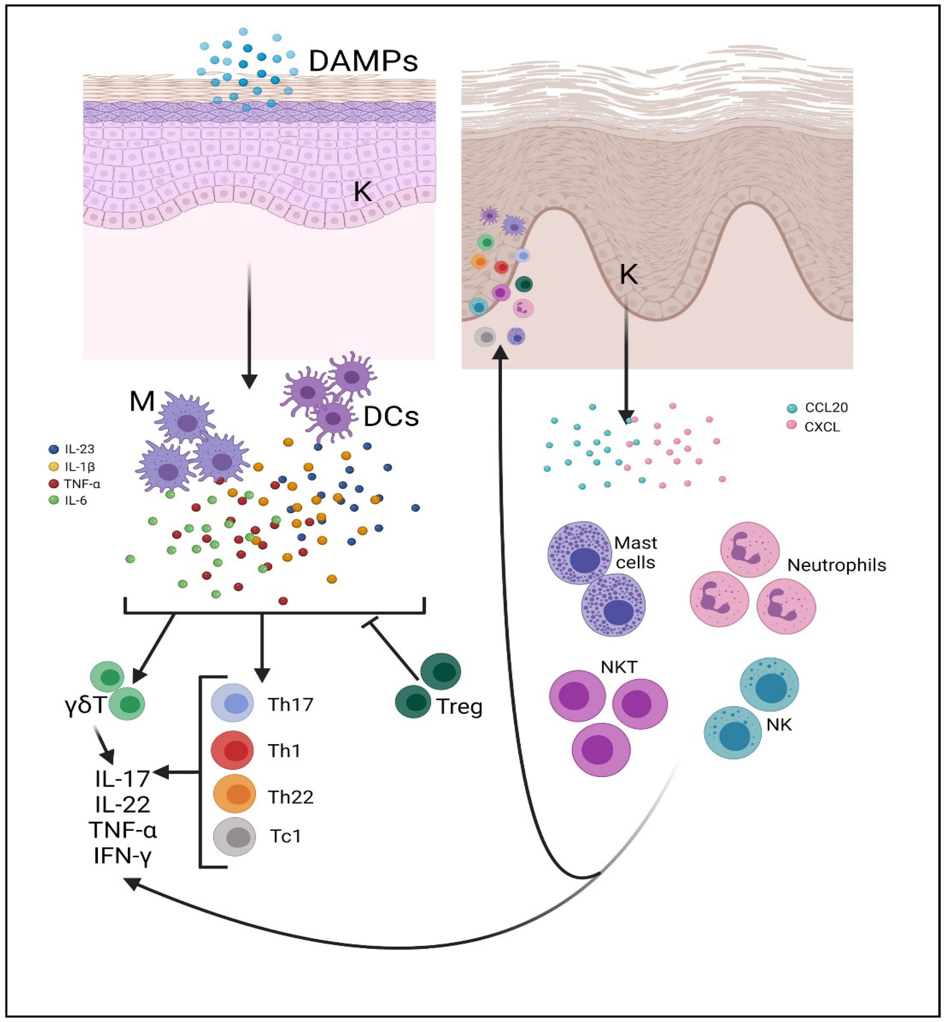 Molecules 27 01953 g003 Molecules 27 01953 g003