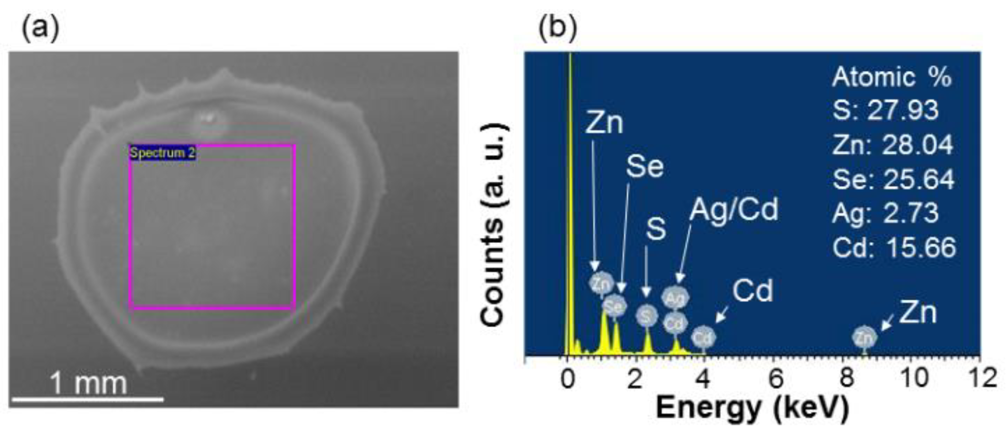 Molecules 27 01957 g008 Molecules 27 01957 g008