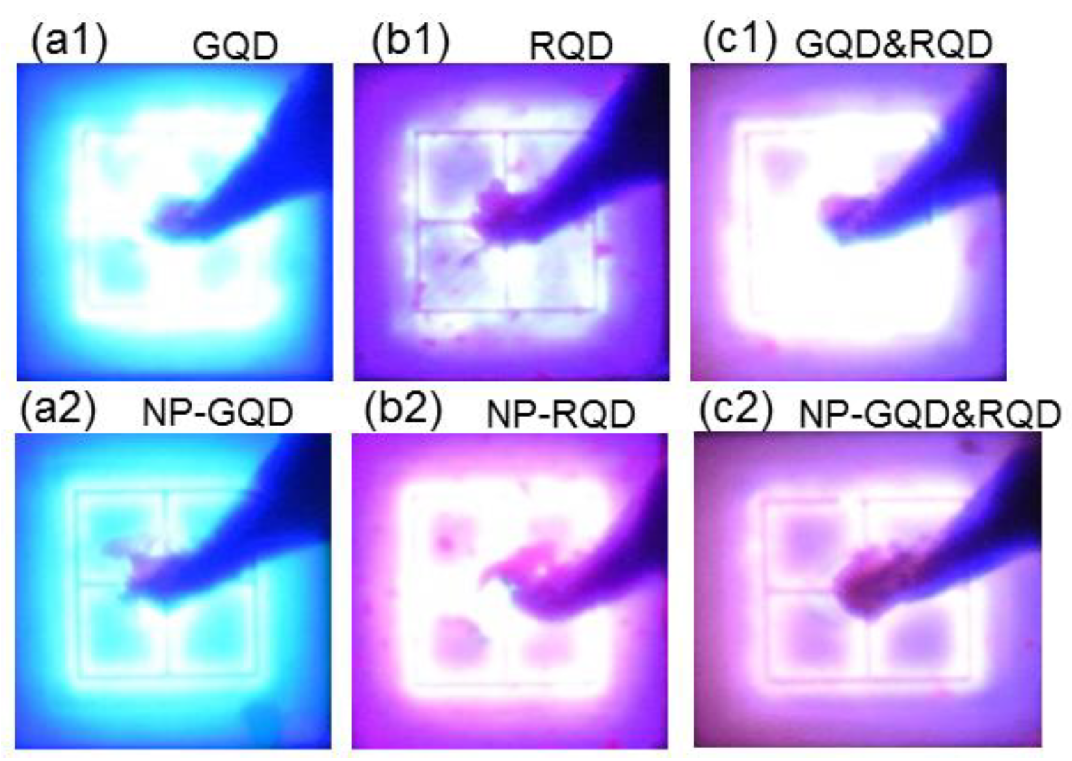 Molecules 27 01957 g009 Molecules 27 01957 g009