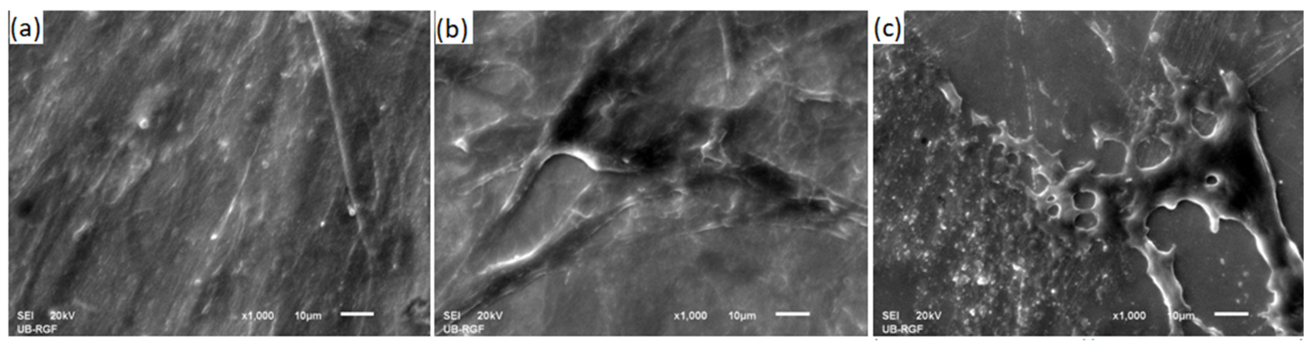 Molecules 27 01960 g007