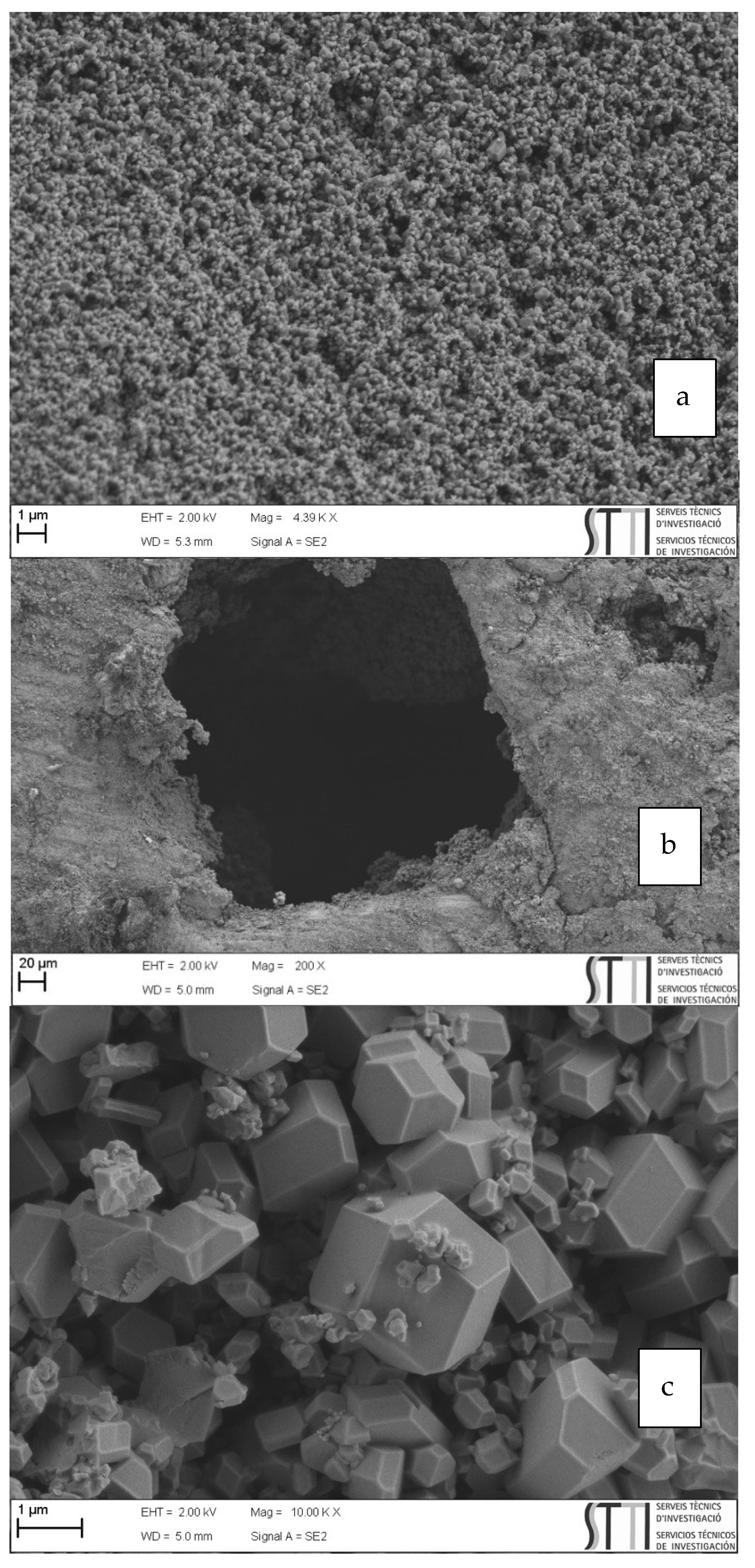 Molecules 27 01968 g005