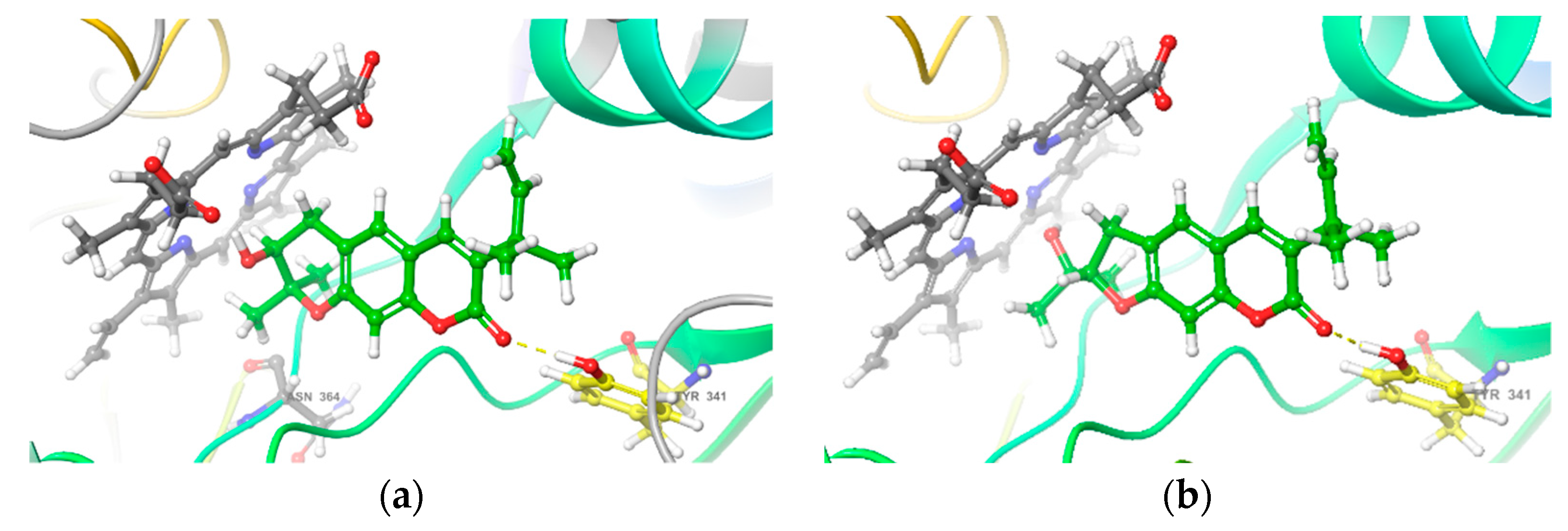 Molecules 27 01971 g006