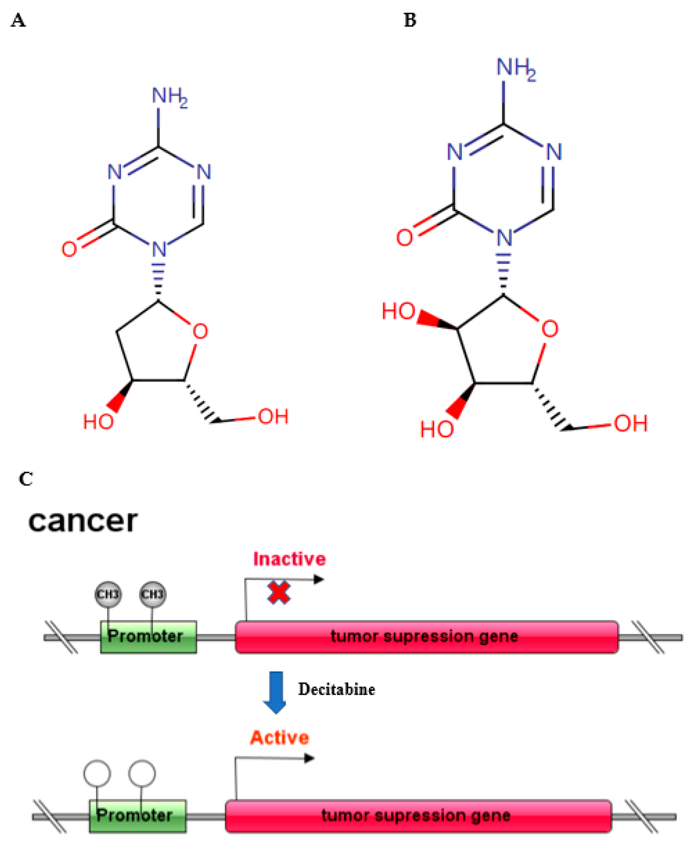 Molecules 27 01973 g001 Molecules 27 01973 g001