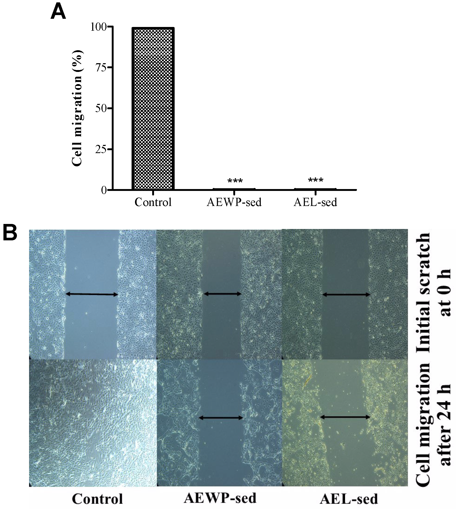Molecules 27 01981 g002