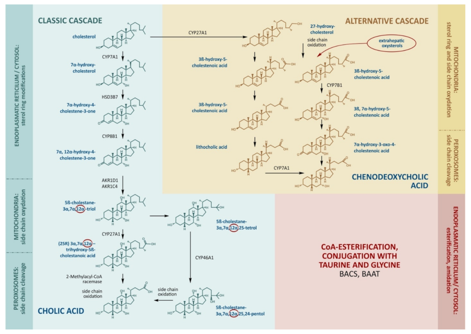 Molecules 27 01983 g001 Molecules 27 01983 g001