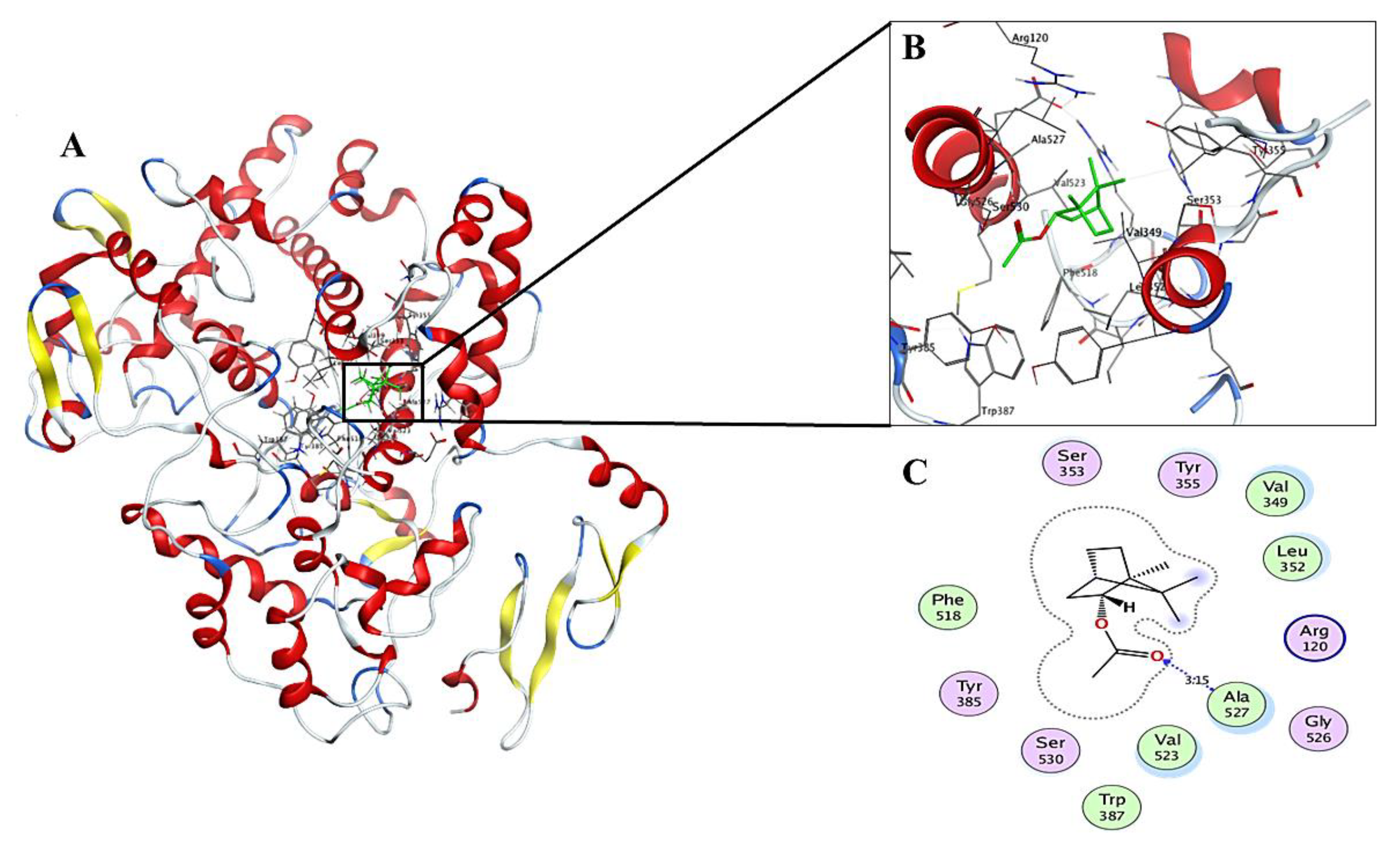 Molecules 27 01994 g005
