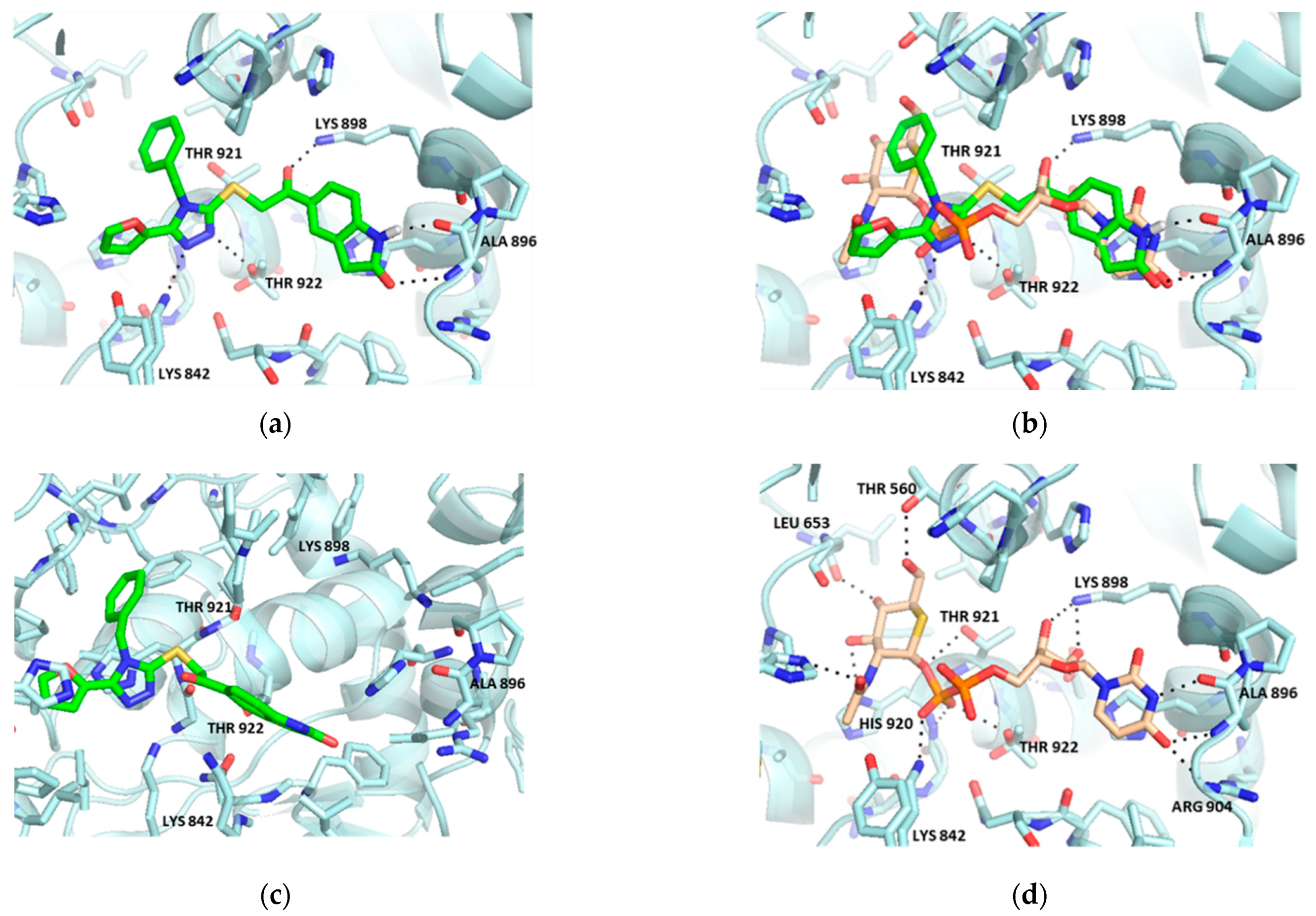 Molecules 27 01996 g002