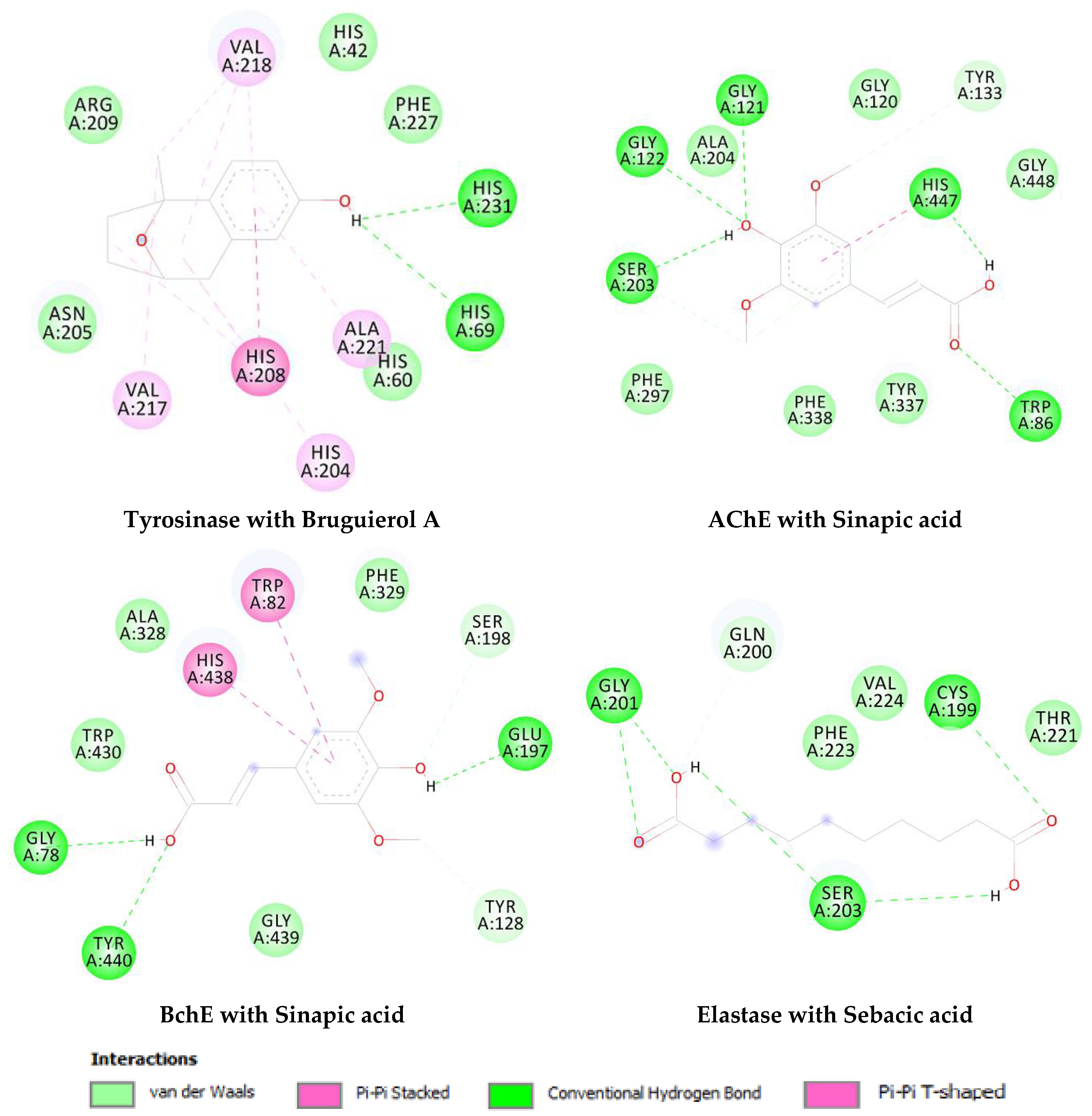 Molecules 27 02000 g006