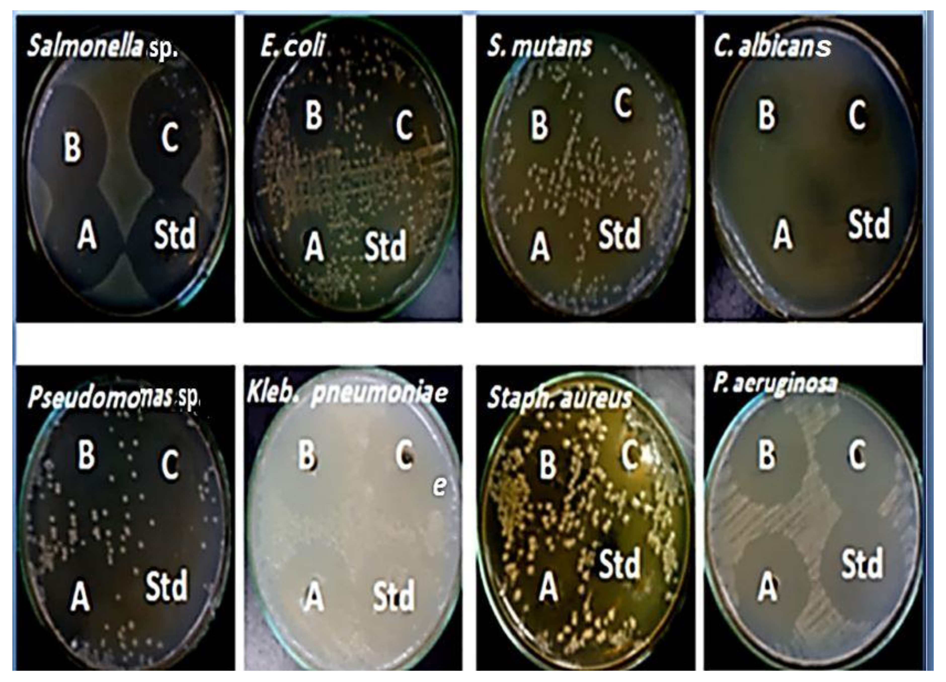 Molecules 27 02016 g003