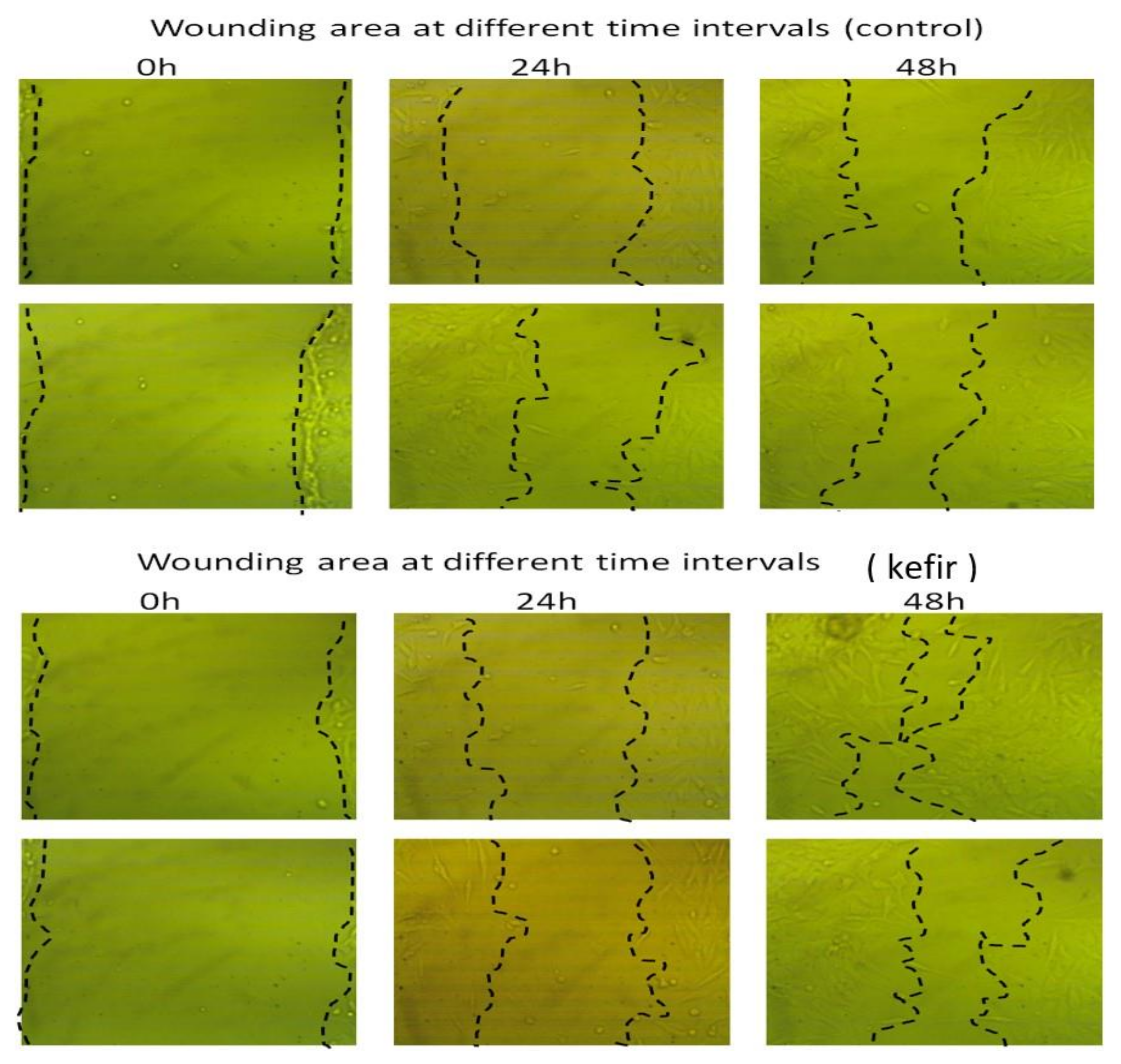 Molecules 27 02016 g005