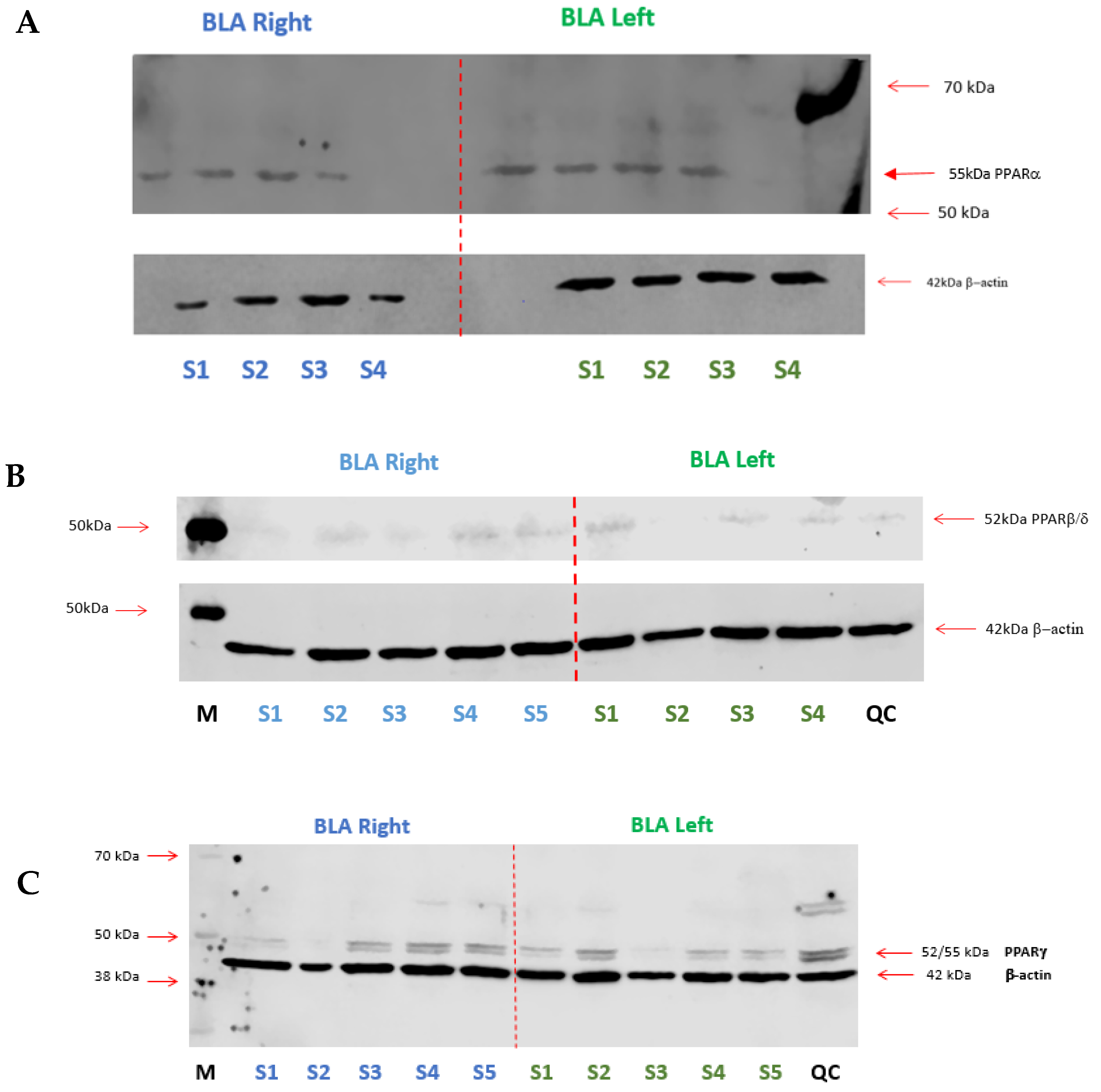 Molecules 27 02021 g015