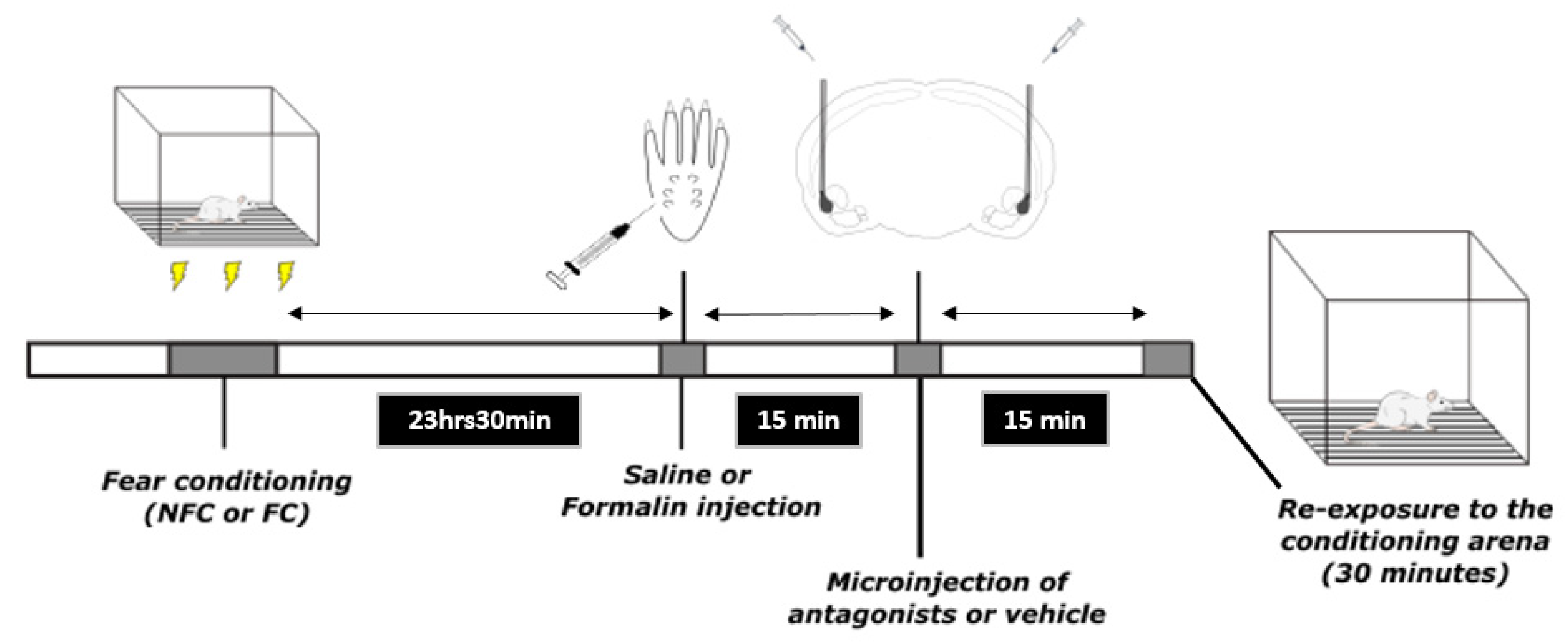 Molecules 27 02021 g019