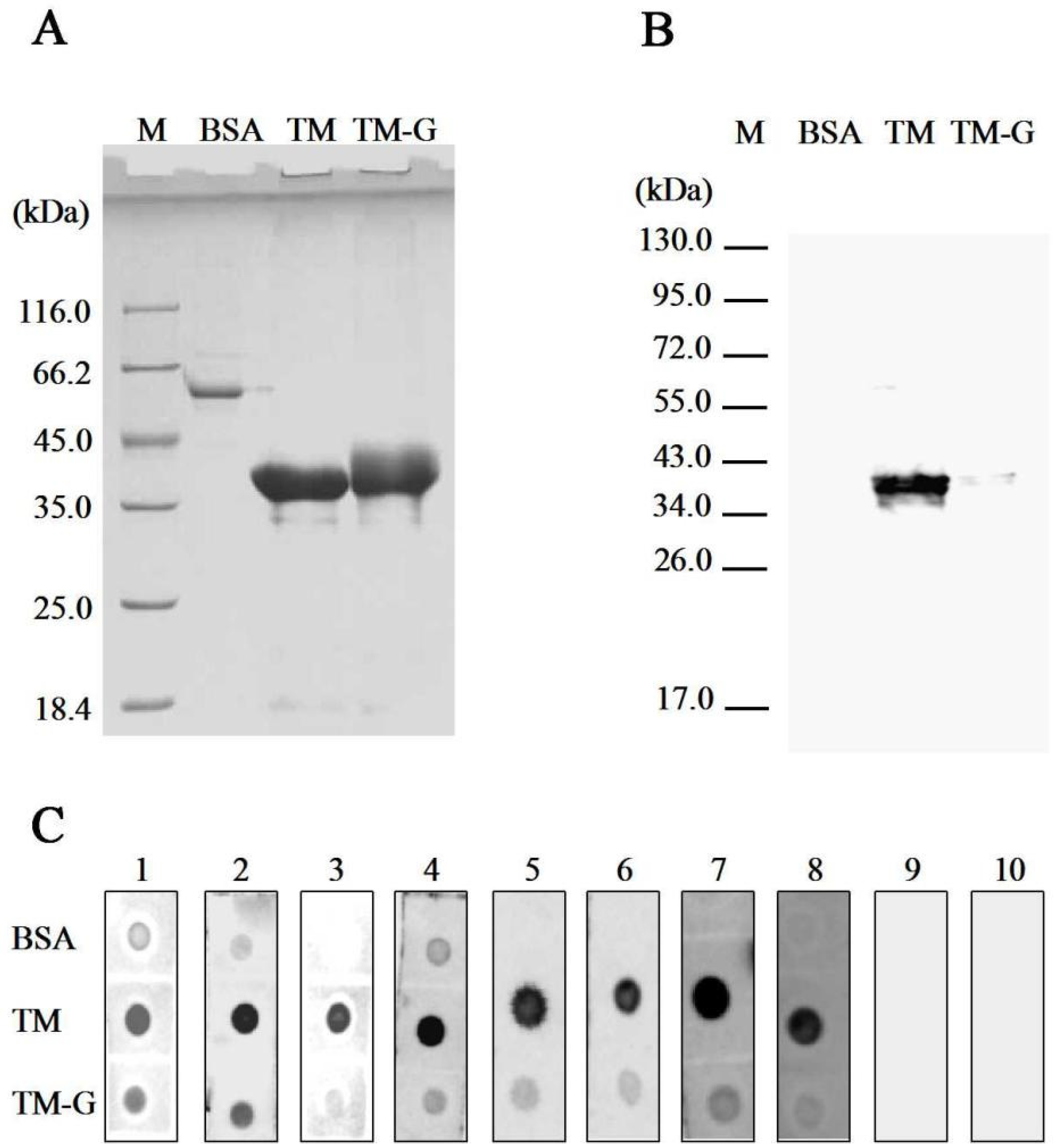 Molecules 27 02027 g001
