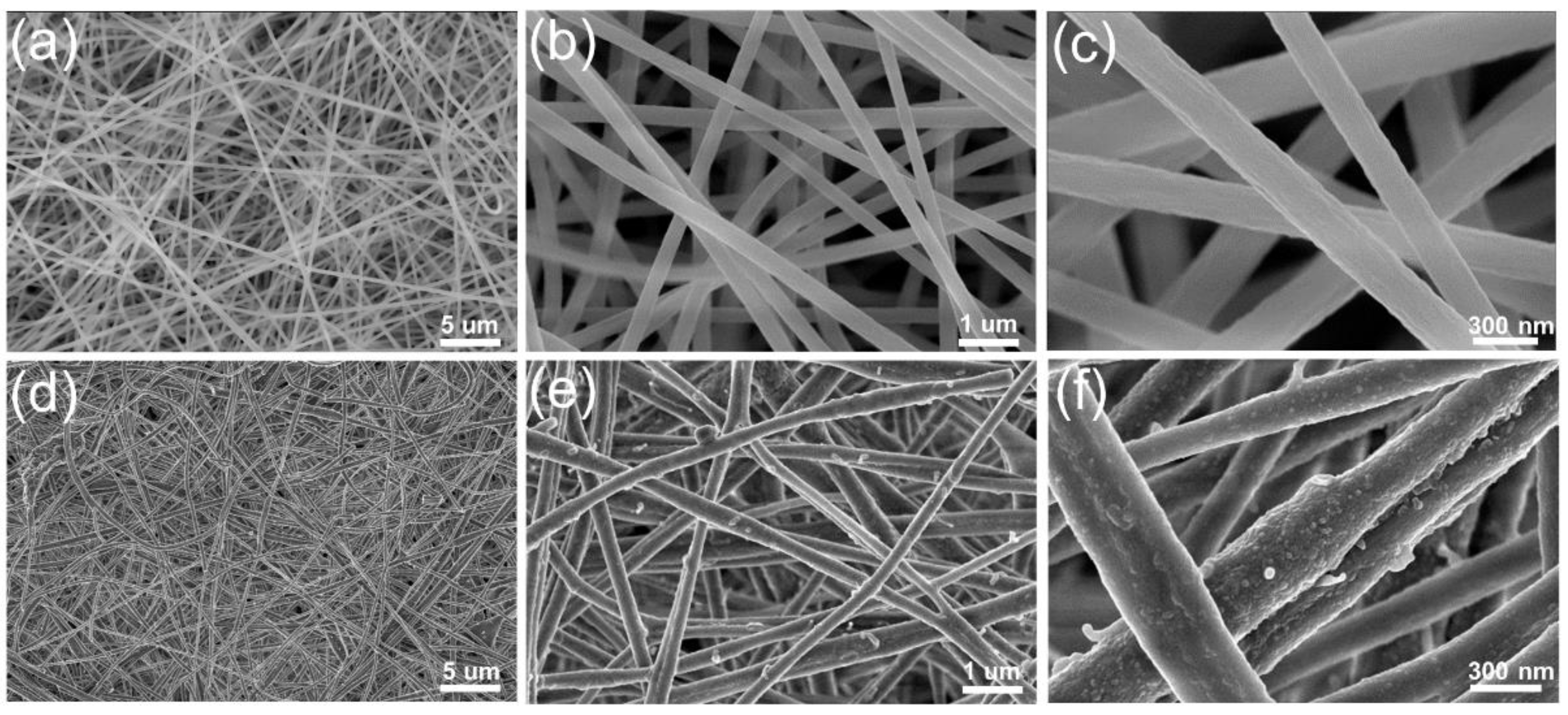 Molecules 27 02035 g001