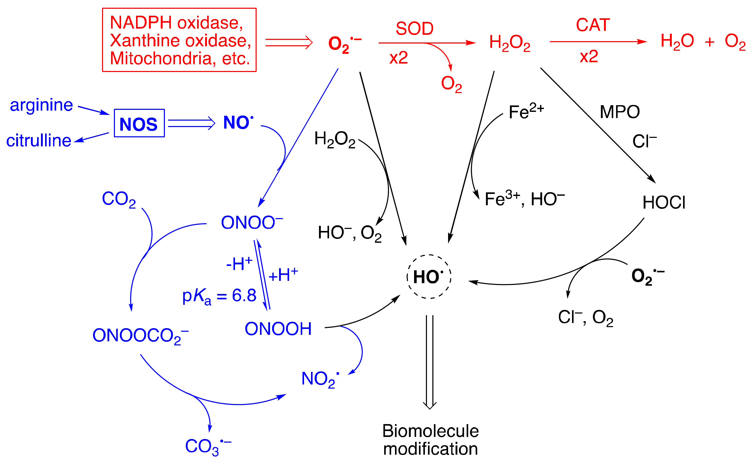 Molecules 27 02042 g002 Molecules 27 02042 g002