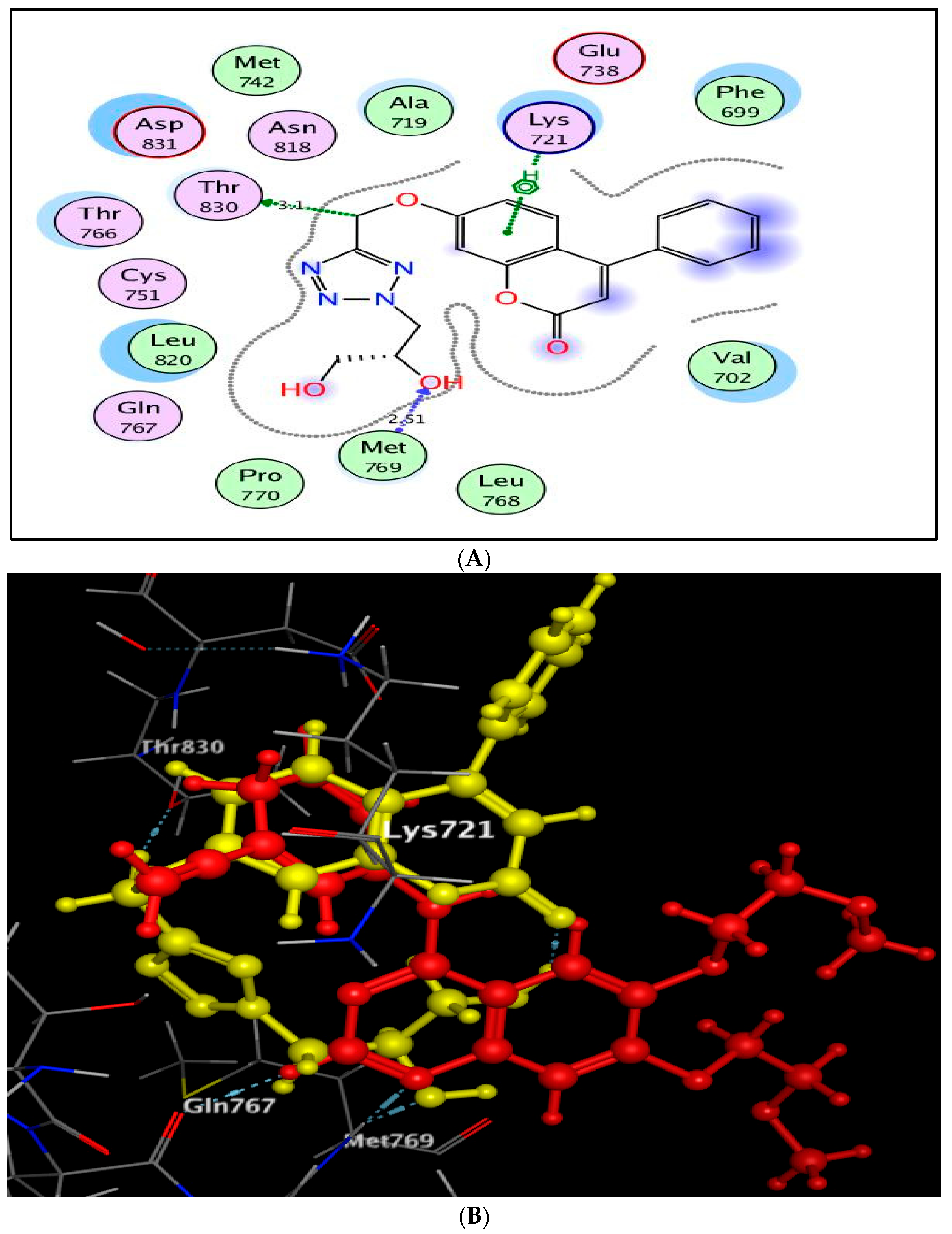 Molecules 27 02047 g008