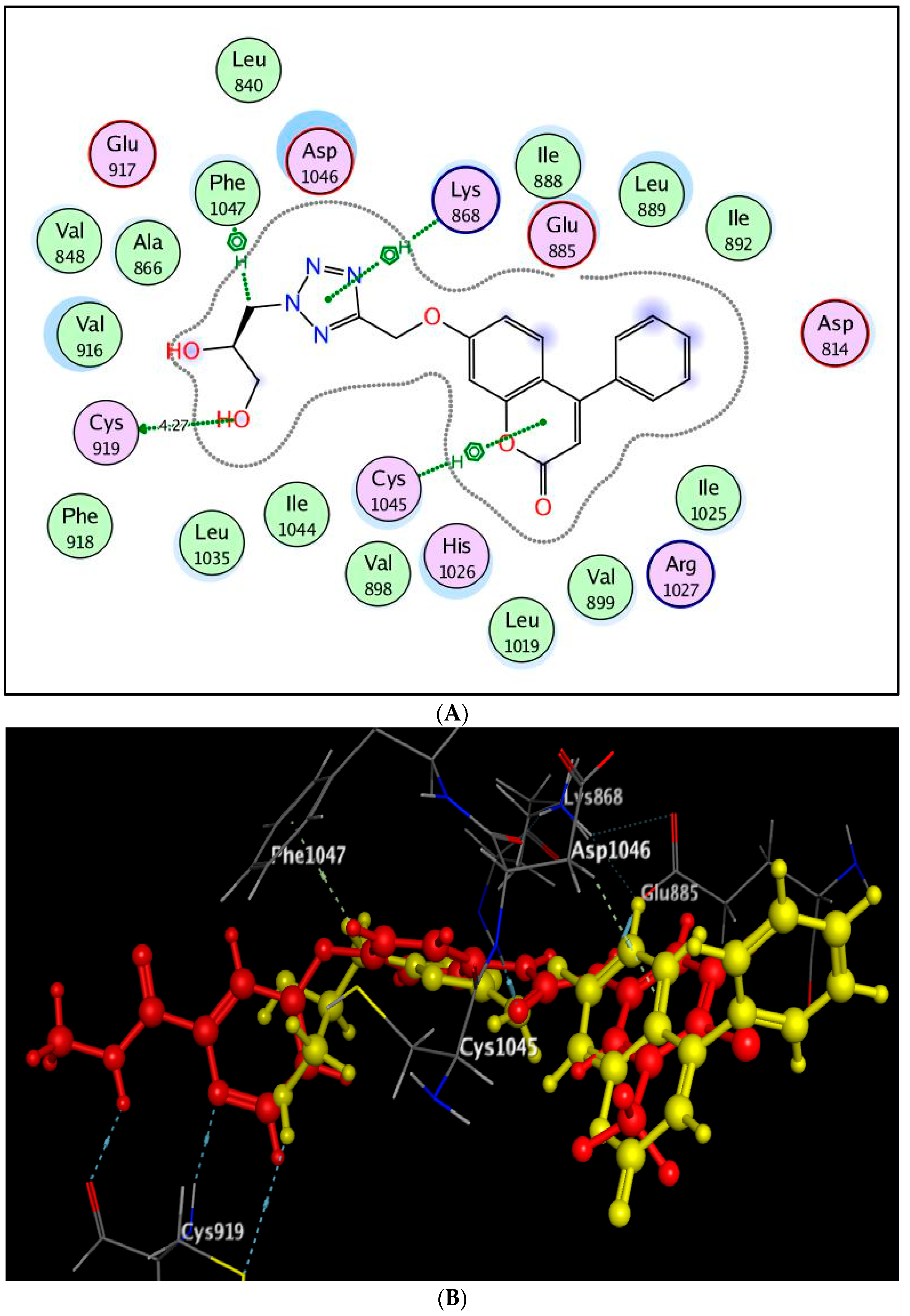 Molecules 27 02047 g009
