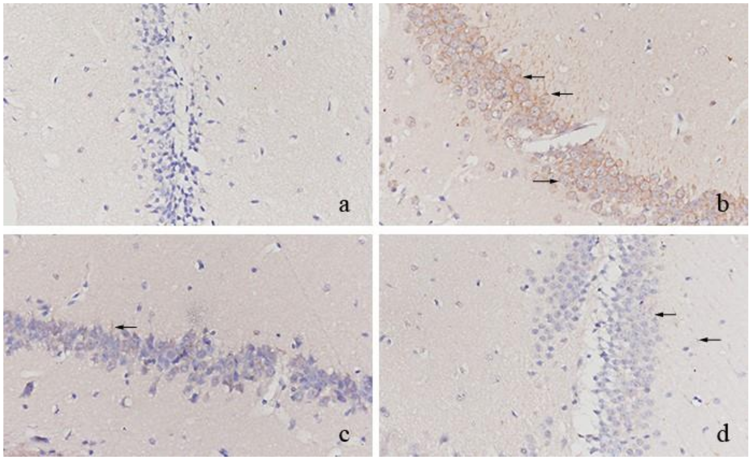 Molecules 27 02051 g002