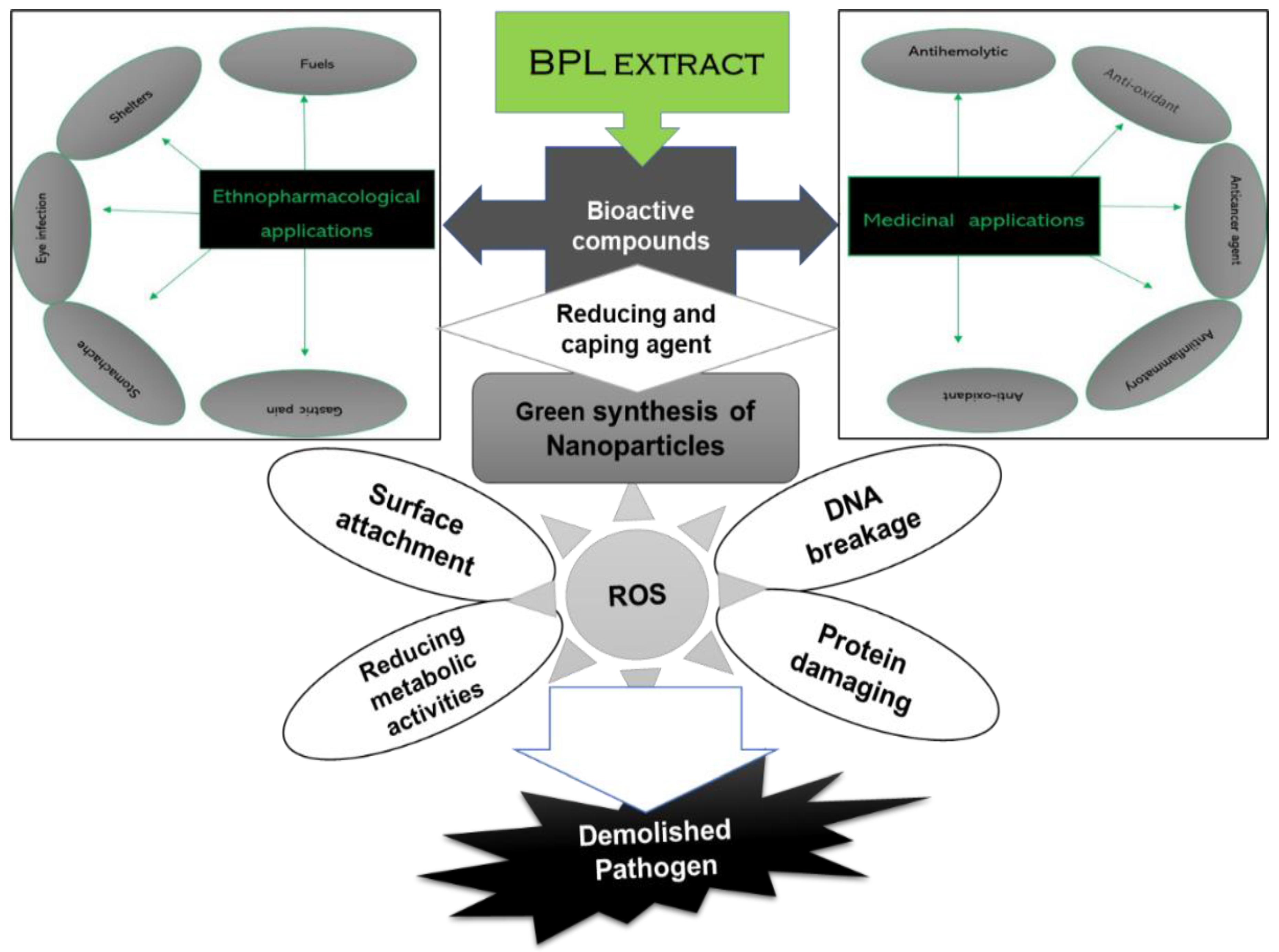 Molecules 27 02064 g009 Molecules 27 02064 g009